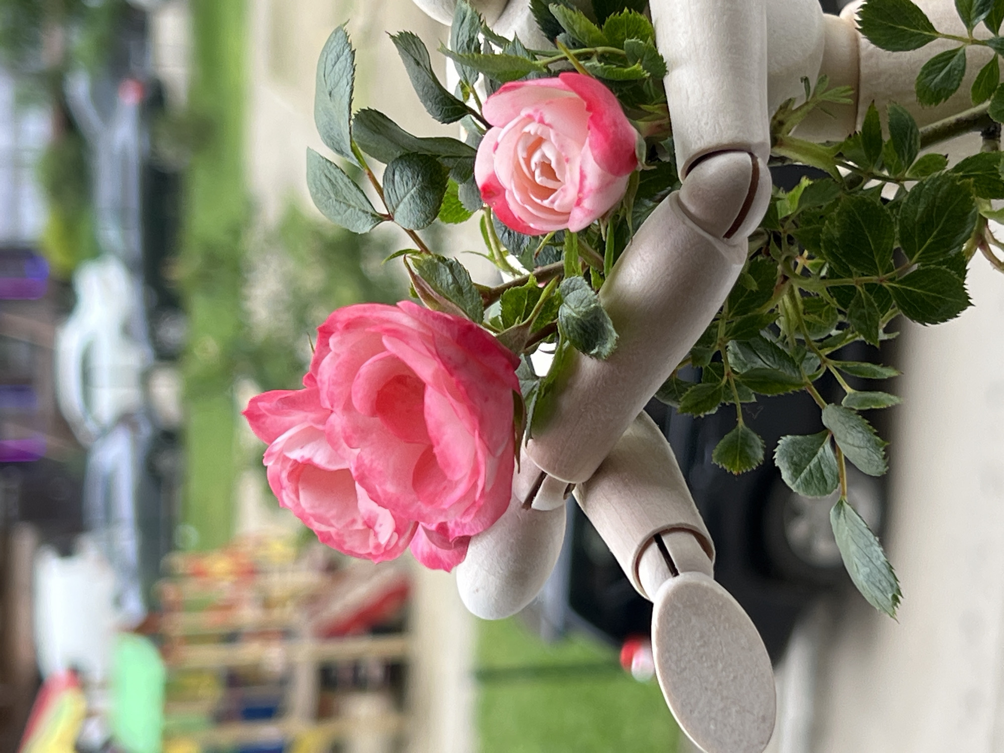 A close-up shot shows a small, light-colored wooden mannequin holding pink roses and greenery. The mannequin is primarily white with visible joint lines. The roses are a vibrant pink color with darker pink edges and are surrounded by green leaves and stems.
The background includes a blurred outdoor scene, suggesting a residential area or garden. Various blurred objects can be vaguely distinguished, including what appears to be a car, some outdoor furniture, and greenery. The general impression is that this shot was taken outdoors in a location with a combination of natural elements and man-made objects.
I cannot identify the location as Krasnodar, Russia, based on the visual information provided.