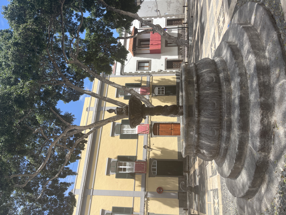 The image shows a stone fountain in a plaza in Las Palmas de Gran Canaria, Spain, located at coordinates 28.099, -15.416. The fountain is ornately decorated with carvings and sits atop a series of stone steps. It stands in the center of the plaza, surrounded by a paved area. In the background, a large tree with thick branches casts shade over the plaza. The plaza is bordered by buildings with yellow and white facades. The buildings have red-orange awnings and large windows, and the windows are fitted with decorative window shutters. One of the buildings appears to be a residential building. The plaza is empty except for the fountain. The sun is shining brightly, and the sky is a clear blue.
