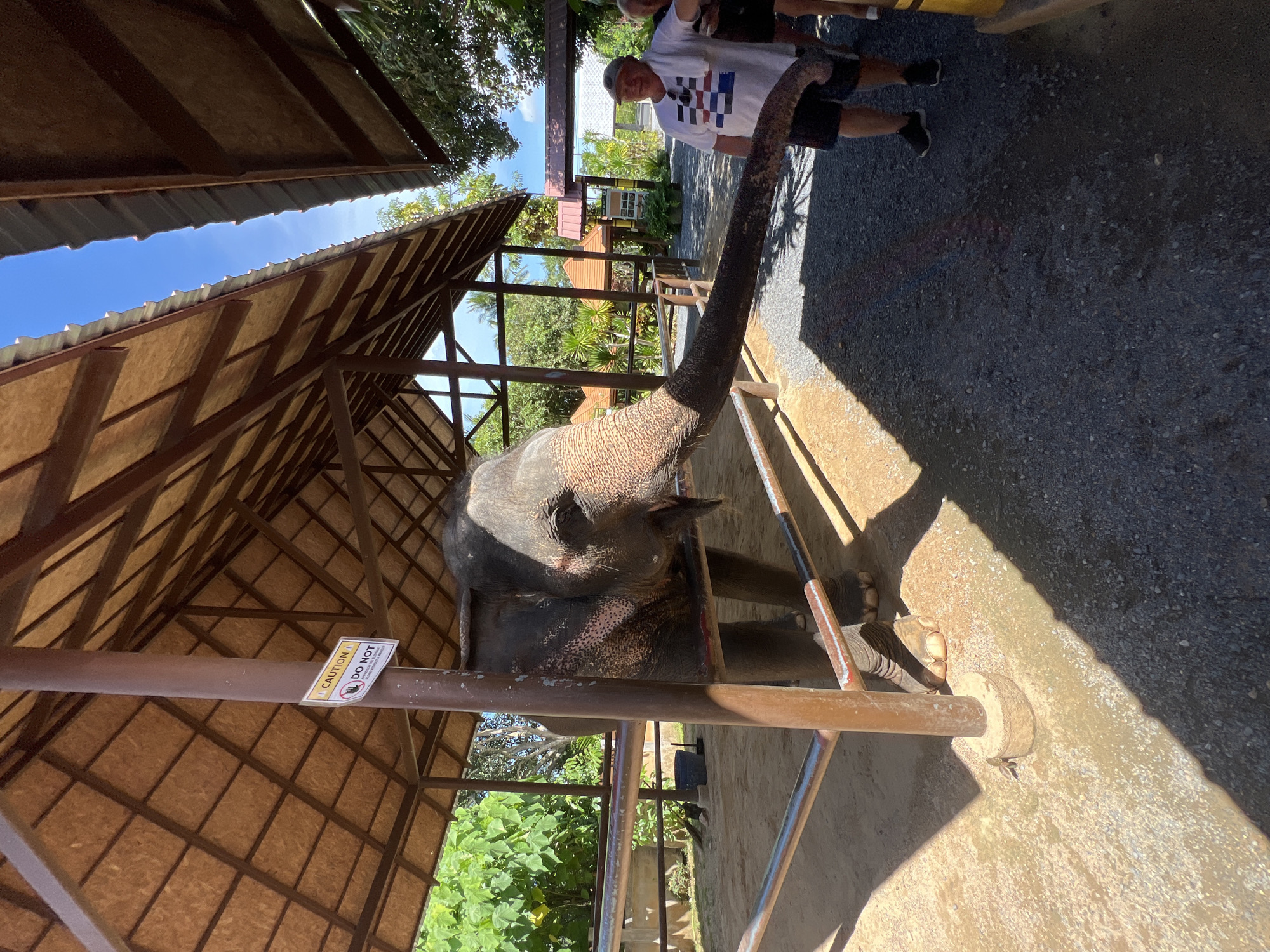In Baan Thurian, Thailand, an adult elephant is in an enclosure with a covered roof. The elephant is reaching its trunk out of the enclosure towards a man standing outside. The man is wearing a white t-shirt and dark shorts, and he appears to be interacting with the elephant. There is a metal fence separating the elephant from the man. A sign on a pole inside the enclosure reads "CAUTION DO NOT FEED THE ELEPHANT ALONE WITHOUT A MAHAT." The ground inside the enclosure is sandy and there is gravel outside. Lush green foliage and palm trees are visible in the background. The sky is blue and clear.