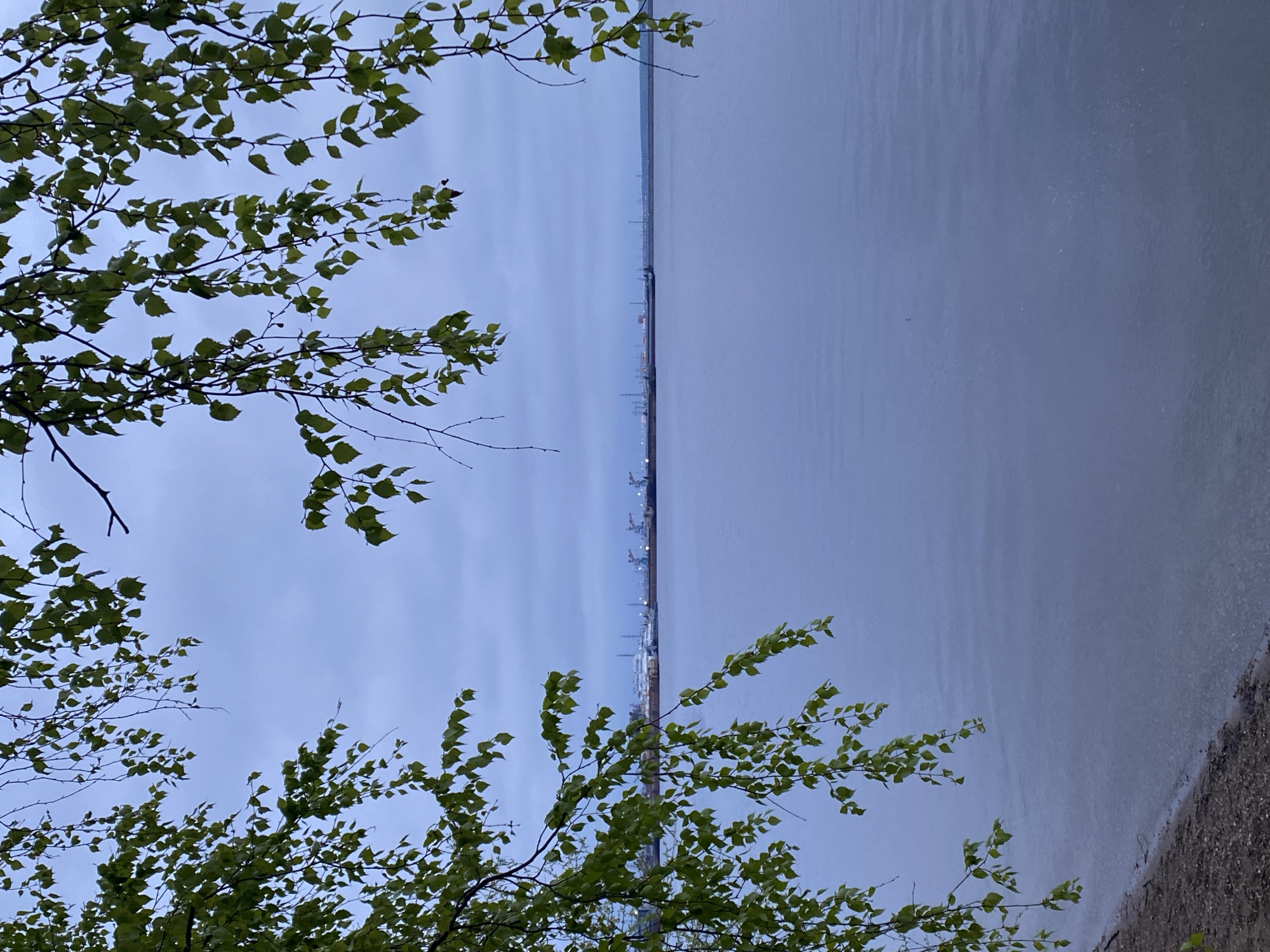 The image is taken outdoors and shows an industrial landscape viewed from a perspective framed by tree branches with green leaves on either side. In the center of the frame, stretching towards the horizon, is a large body of water with a visible shoreline on the right. In the distance, along the central horizontal line, there is an industrial complex visible, which includes cranes and industrial structures. The sky is overcast, with the overall lighting suggesting either dusk or dawn. This location is in the city of Chaikovsky, Russia.