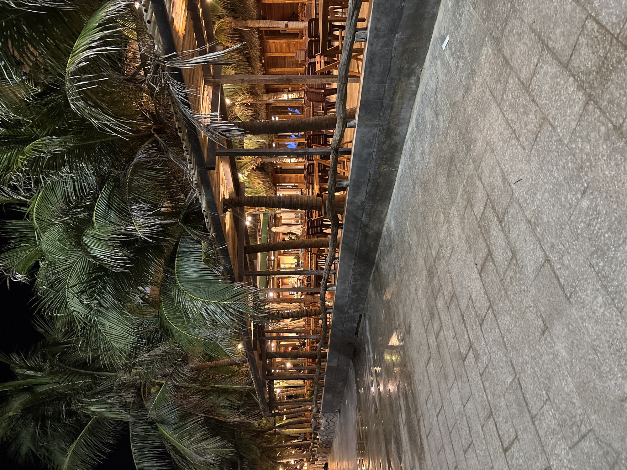 The image, when properly oriented, depicts a night scene of a paved walkway running alongside an open-air establishment lined with palm trees.
Numerous tall palm trees with dense green fronds dominate the left side of the frame, silhouetted against a dark night sky. Their leaves catch the warm artificial light emanating from the adjacent structure. To the right of the palm trees is a long, rustic building or covered patio, likely an outdoor restaurant or bar. This structure is characterized by extensive use of dark wooden beams and supports, forming an open-sided design. Inside, rows of wooden tables and chairs are visible, arranged for dining or socializing. Decorative string lights or small bulbs are strung across the ceiling and beams, casting a warm, golden glow over the interior.
A low, rough concrete barrier or railing separates the establishment from the foreground. The immediate foreground and right side of the image feature a wide paved pathway made of rectangular grey stone or concrete blocks. The surface appears slightly reflective, possibly due to dampness or the sheen of light.
The scene suggests a quiet evening atmosphere in a tropical or resort setting, consistent with the location hint of Dong Hai Ward, Vietnam. No specific activities or people are distinctly visible, but the setup indicates a leisure or dining area. No visible text is present in the image.
