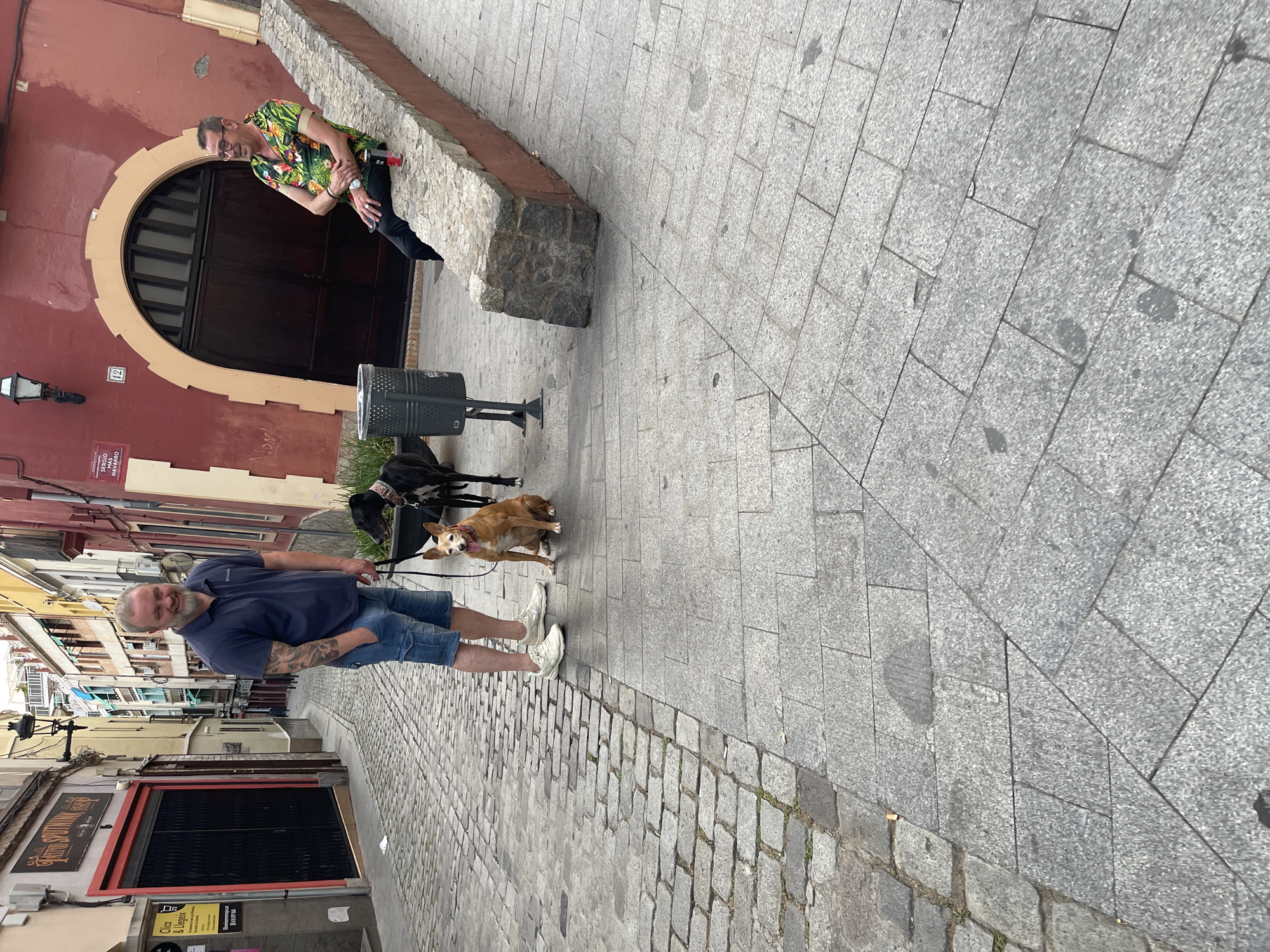 A man with a beard and tattoos on his arm stands on a cobblestone street in Santa Coloma de Gramenet, Spain, with two dogs. He is wearing a dark blue polo shirt and denim shorts. The dog closest to him is a medium-sized tan dog with its tongue out. Behind it is a black dog. The man is holding leashes for both dogs. To his right, another man is sitting on a stone wall. He is wearing a colorful short-sleeved shirt and black pants, with glasses. He appears to be holding a red can. The street is lined with buildings, one of which has a red facade with an arched doorway. The buildings are several stories high and have balconies. The ground is paved with cobblestones and large granite tiles. There is a black trash can with a perforated design near the seated man. The overall scene is an outdoor urban environment.