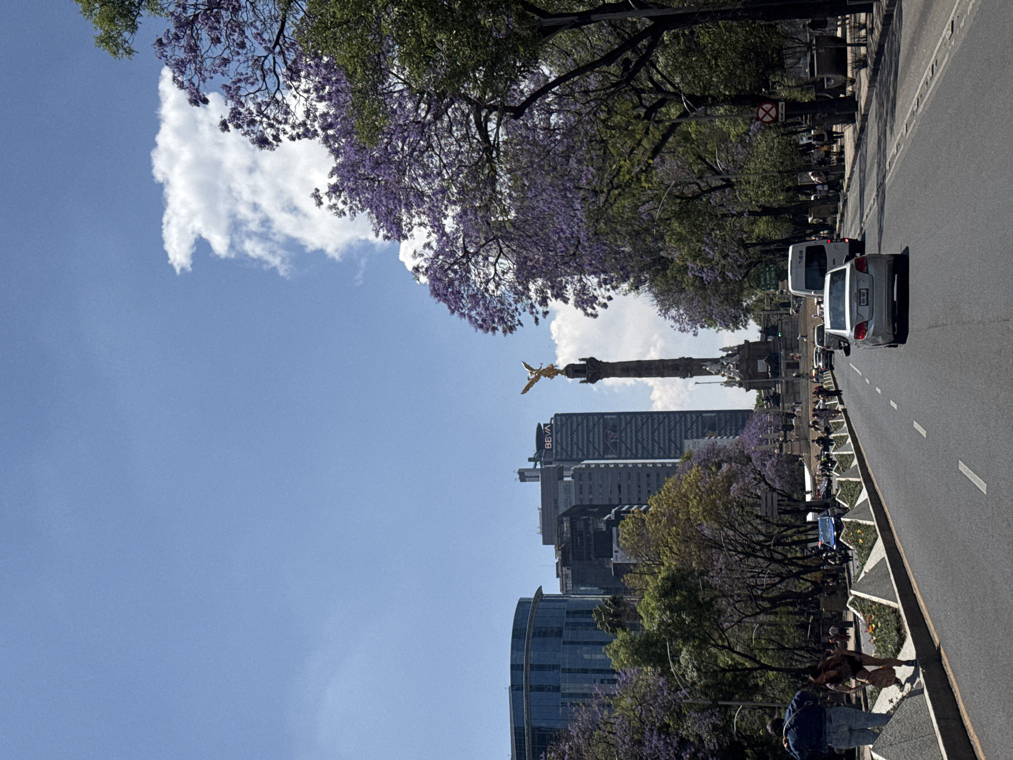 The image depicts a view along Paseo de la Reforma in Mexico City, Mexico. On the right, a road runs vertically with moving vehicles, including a white car and a white van. A pedestrian area with trees bearing purple blossoms lines the road. People are walking and standing along the path. On the left, modern skyscrapers rise, with the Angel of Independence monument visible in the distance. The sky is light blue with some white clouds.