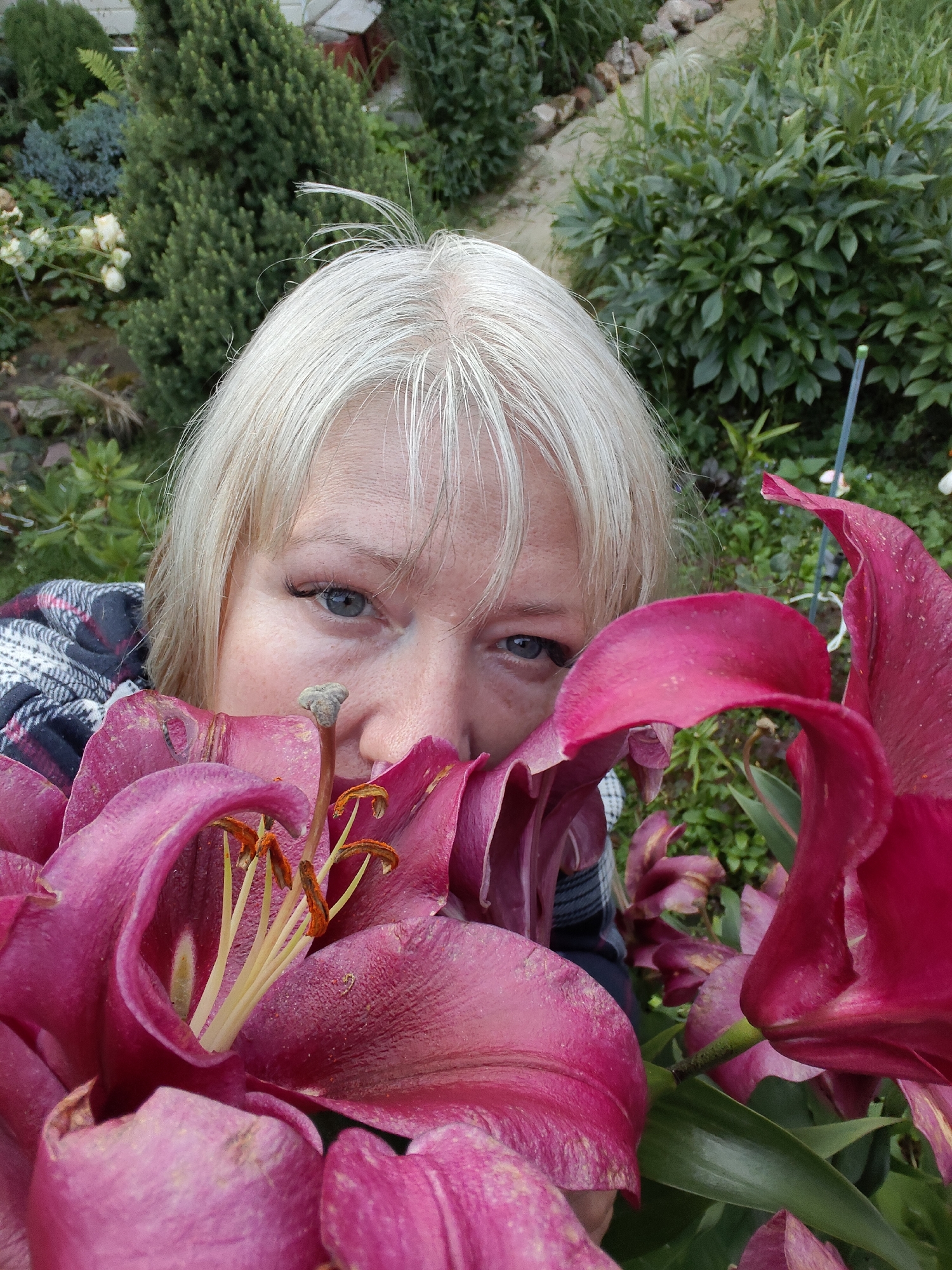 A close-up, eye-level, outdoor portrait features a fair-skinned Caucasian woman with blonde hair and blue eyes, partially obscured by large, dark pink lilies in a garden setting. She is wearing a dark and light plaid scarf or blanket. The background consists of lush green foliage and various plants, suggesting a residential garden. The overall impression is that of a selfie taken amongst flowers. No specific landmarks in Венюково, Russia are visible.