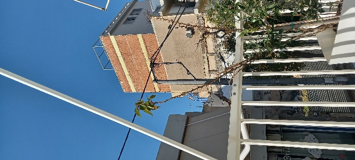 The media depicts an outdoor urban scene in Drapetsona, Greece, captured during clear daylight under a bright blue sky. The image appears to be taken from a balcony or elevated position.
In the foreground, a white metal railing with multiple horizontal bars runs across the lower portion of the frame, partially obscuring the view below.
Beyond the railing, a residential area is visible. A prominent multi-story building stands in the mid-ground, featuring a grey upper floor and a lower facade with a distinct brick-patterned finish, possibly brickwork or cladding. Windows are visible on this building. To its left, another building or structure with a lighter facade is partially seen.
A utility pole with multiple wires extends vertically in the mid-ground, and a leafless vine with a few green leaves twines around it or grows nearby, stretching from the left side towards the center-right. To the right, a dense green shrub or small tree is partially visible behind the railing. The ground area beneath the buildings shows varied textures, suggesting a paved surface or alley.
In the lower right background, behind the railing, there is an indistinct sign with blurry Greek text. No specific activity or event is taking place; the scene is static, capturing a slice of urban life on a clear, sunny day.