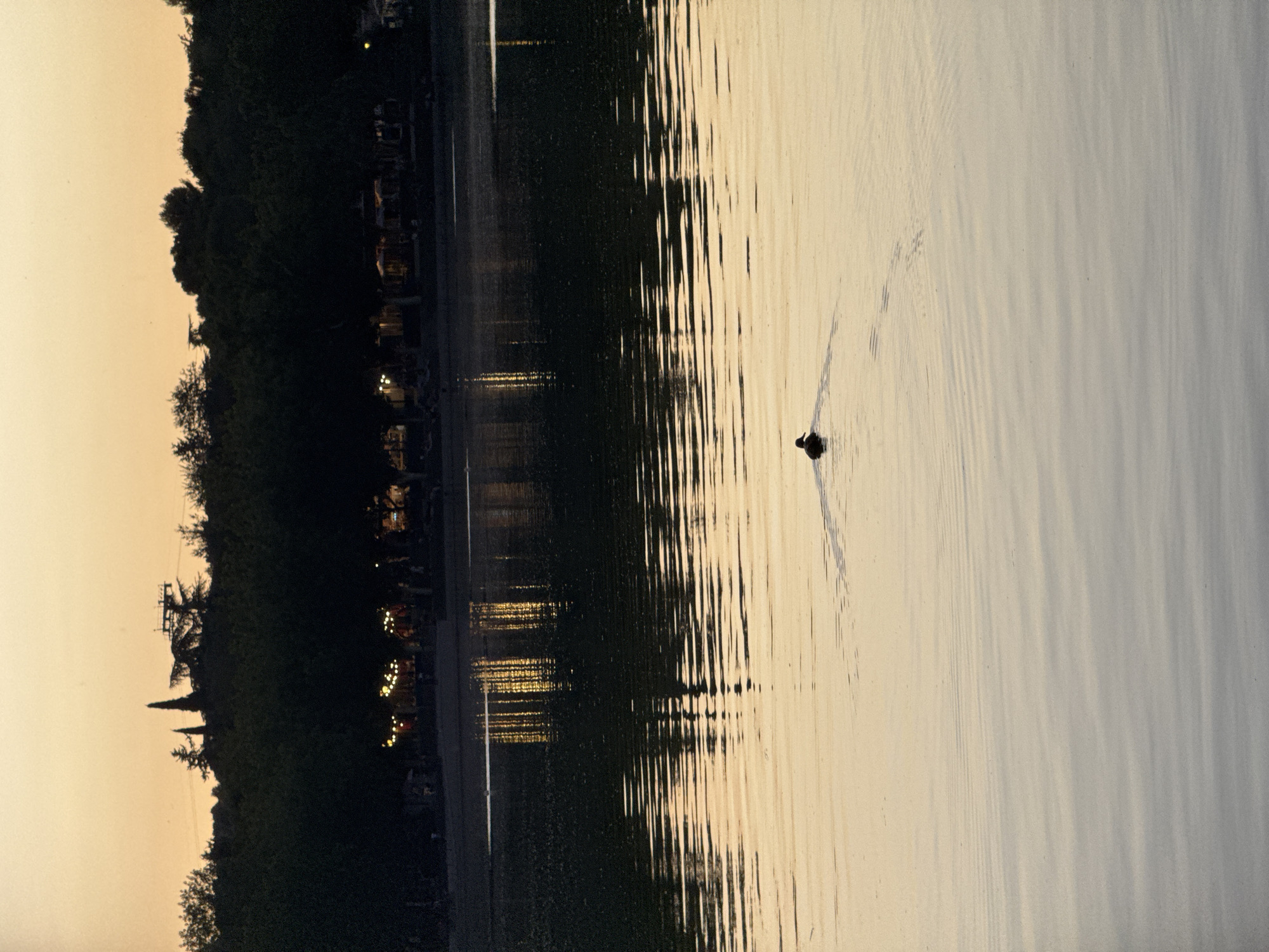 The image depicts a serene body of water, likely a lake or river, at dusk. The sky is a soft gradient of pale orange and yellow, suggesting the last moments of daylight. In the distance, a dark silhouette of trees forms a dense line against the horizon. Behind the trees, lights are visible, indicating human activity or structures. The water's surface is calm, with subtle ripples and reflections of the distant lights. A solitary duck is present, swimming on the water and leaving a faint wake behind it. The overall atmosphere is peaceful and tranquil. The image does not provide any specific geographical markers to identify it as being in Madrid, Spain.