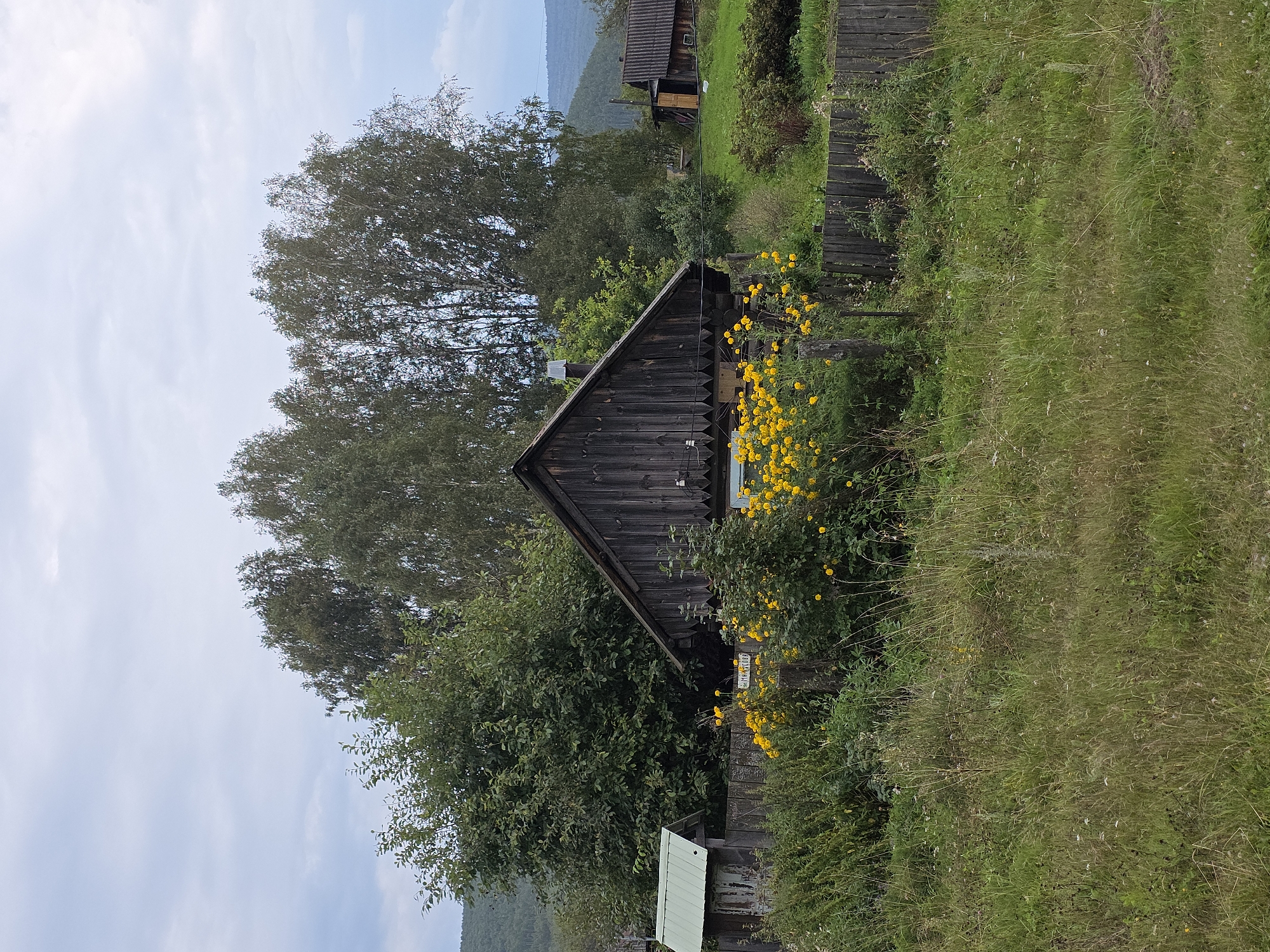 The image depicts a rural scene with a wooden house in the foreground, situated in the city of Magnitka, Russia. The house, made of dark, weathered wood, has a prominent pitched roof and a visible chimney. In front of the house, a wooden fence encloses a yard filled with lush green grass, wildflowers, and bushes. Bright yellow flowers are in bloom, adding a vibrant splash of color to the scene. To the left of the main house, a smaller structure with a light-colored, corrugated roof is visible, partially obscured by foliage. Behind the house, a cluster of tall, slender trees with green foliage stretches across the background, against a cloudy sky. In the distance, rolling hills covered in trees are visible, suggesting a natural, somewhat undeveloped landscape. The overall impression is one of a quiet, rustic dwelling surrounded by nature.
