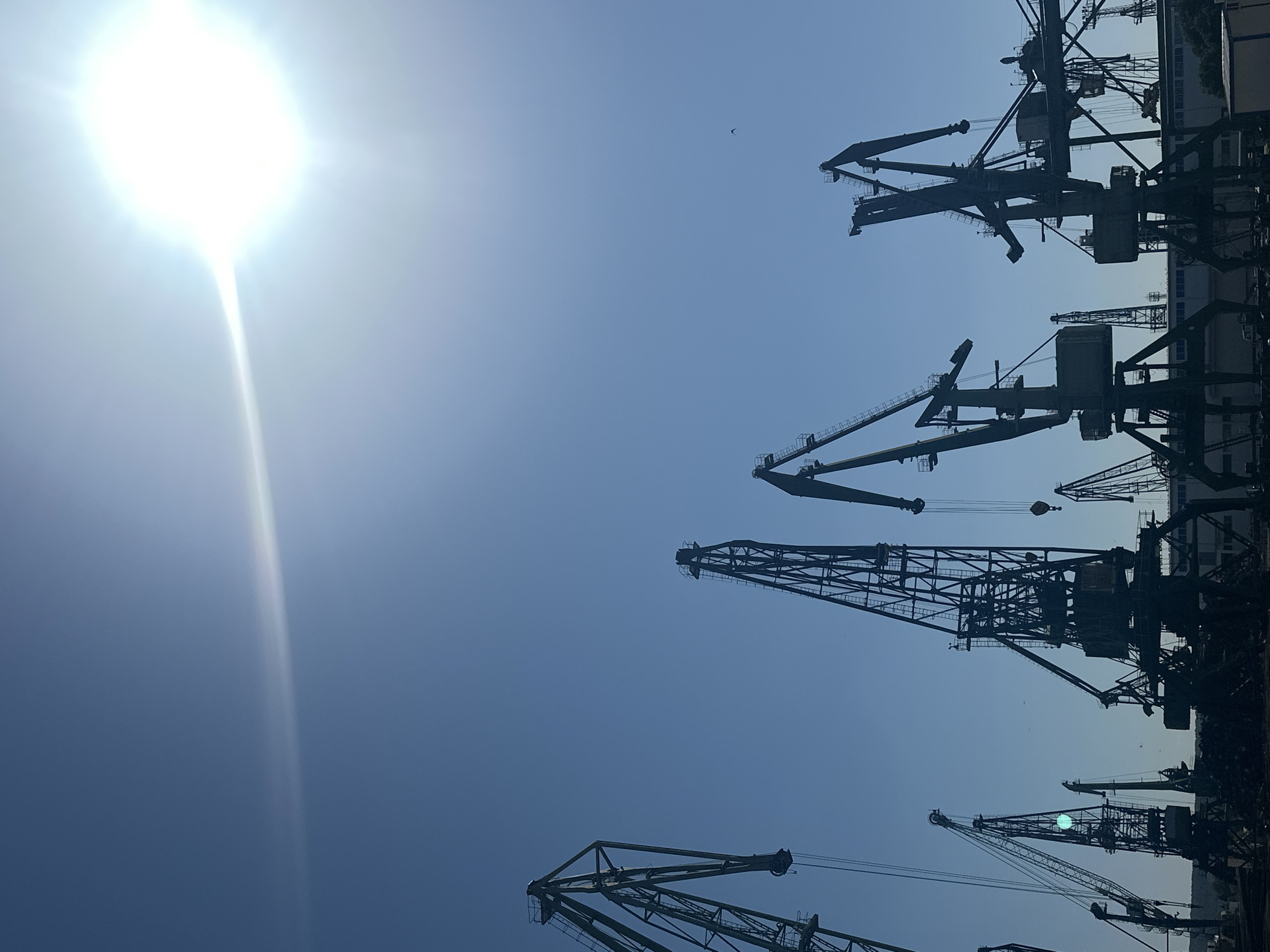 In a silhouetted industrial landscape against a bright blue sky, a cluster of large construction cranes dominates the scene. The sun, positioned in the upper right quadrant of the image, casts a bright glare, creating lens flare across the sky. The cranes, varying in size and design, stand tall with their angular metal structures reaching upwards. Some cranes are dark silhouettes against the sky, while others show some detail in their construction. In the lower portion of the image, the industrial setting continues with what appears to be a loading dock or port area, hinted at by the base structures of the cranes and some indistinct buildings and machinery. The sky is clear, with only a faint hint of a thin cloud or atmospheric streak, and a solitary bird is visible in the distance.