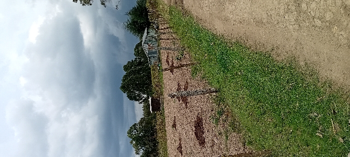 The image captures a rural landscape in Heni Village, Kenya, under an overcast sky dominated by heavy grey clouds. In the foreground, a light brown dirt path extends along the right side, bordered by a strip of vibrant green grass to its left. A rustic fence line, composed of irregularly shaped, weathered wooden posts, runs parallel to the grass and path, separating it from an agricultural field. The field's visible area consists primarily of reddish-brown tilled earth with scattered darker clumps and sparse low-lying green vegetation. Further back in the field, rows of taller green crops are discernible. Two structures are present within the scene: a small, dark-colored hut with a lighter roof is situated on the left side of the field, and a larger, weathered building constructed from corrugated metal walls and roof stands to the right of the hut, behind the fence line. A dense line of dark green trees forms the distant background horizon. No individuals, animals, or active interactions are visible.