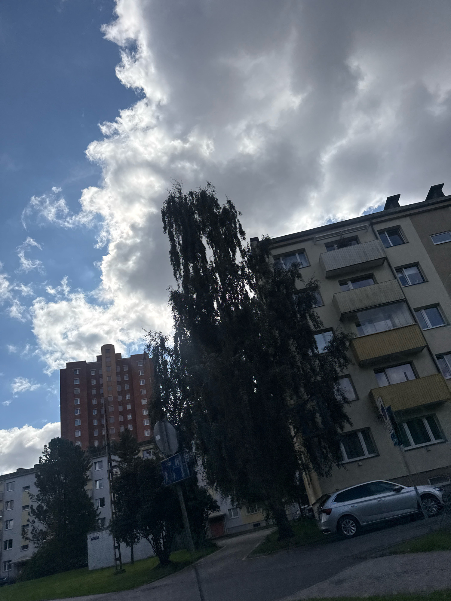 This image, taken outdoors in Tallinn, Estonia, captures a view of apartment buildings against a partly cloudy sky. In the foreground, a silver station wagon is parked on the side of a road. To the left of the car and the road, a grassy slope leads up to the buildings. The primary building visible on the right is a multi-story apartment complex with several balconies. To the left of this building, a tall, slender tree with dark foliage partially obscures the view. Further to the left and in the background, another, taller brick building with many windows rises into the sky. The sky is a mix of blue and gray clouds, with sunlight filtering through in places. A traffic sign is visible on a pole near the center of the image. The image is taken at an upward angle.