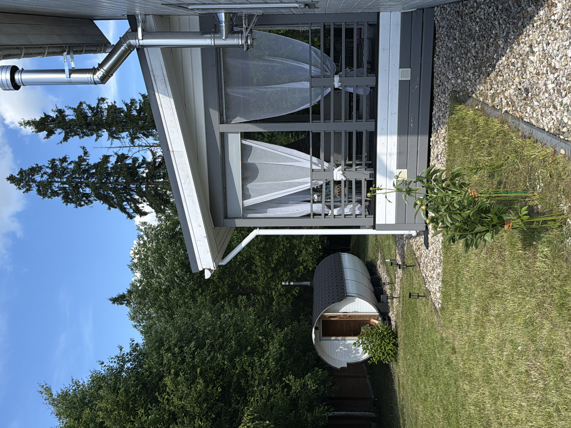 The image depicts a backyard scene in Aleshkino Dp, Russia, on a sunny day with a few clouds in the blue sky. In the foreground, to the right, is a partially visible building with a gray brick exterior and a white trim roof. Attached to the side of this building is a metallic chimney. Adjacent to the building is a covered porch area with gray railings and sheer white curtains hanging. The porch floor is covered with light-colored gravel.
To the left of the porch, on a well-maintained green lawn, sits a distinctive barrel-shaped sauna. The sauna is white with a dark, textured roof and has its wooden door ajar, revealing a glimpse of its interior. A small, green bush is positioned in front of the sauna. Several small, solar-powered garden lights are scattered on the lawn near the sauna and the edge of the porch.
The background is dominated by lush green trees, with tall pine trees visible behind the porch and to the left. A wooden fence is partially visible behind the trees on the far left. In the lower right corner of the frame, a peony plant with buds is growing, and a narrow drainage channel runs through the gravel. The overall impression is one of a peaceful, well-kept outdoor recreational space.