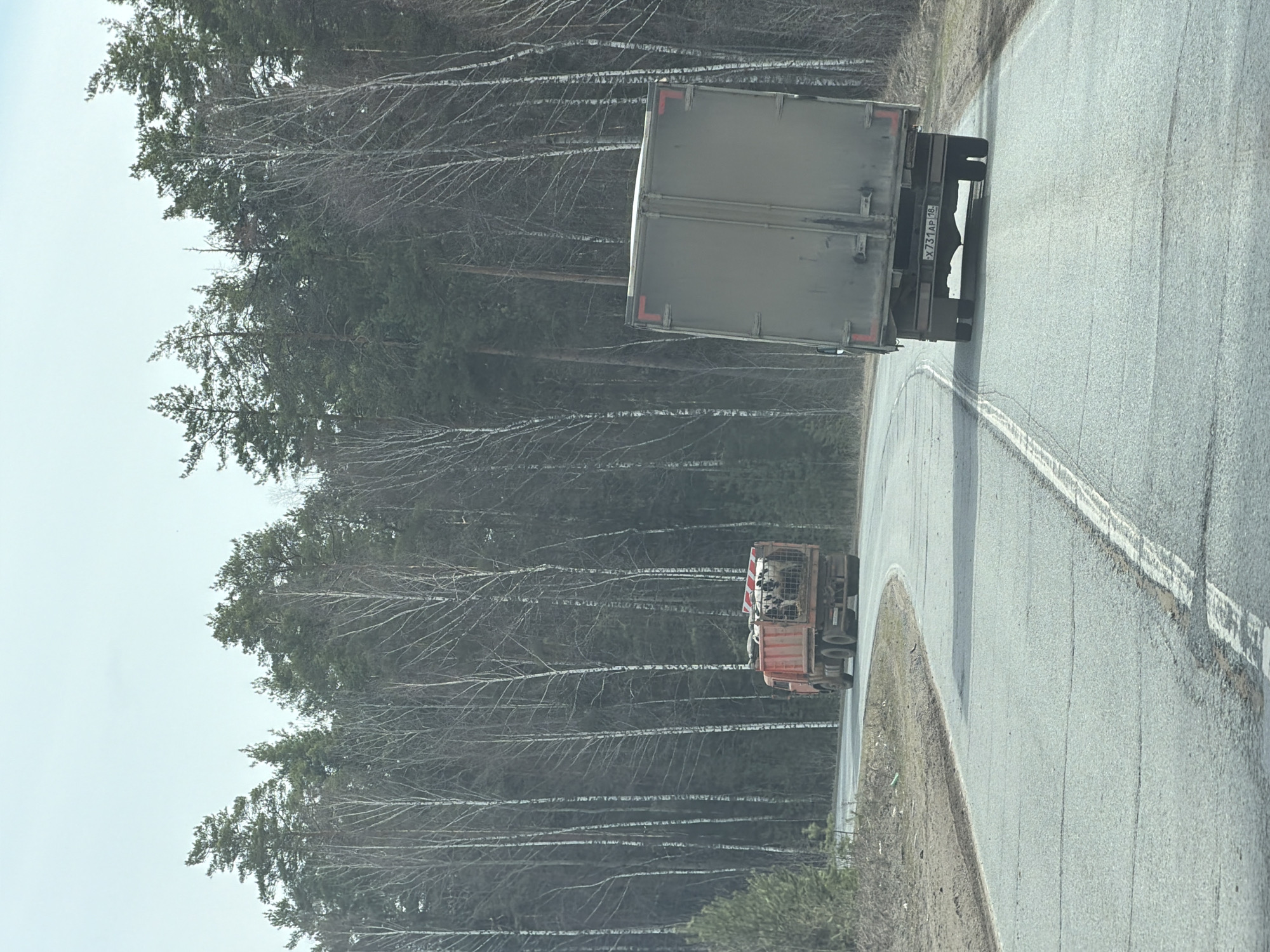 The image depicts a road scene in Novyi, Russia, featuring two trucks. A large, boxy truck with a light grey-green trailer is moving away from the camera on the right side of the road. The rear license plate reads "X731AP18" in Russian. In the distance, another truck, possibly red, is traveling in the same direction. The road curves slightly. A white line marks the road's edge. The environment on the left consists of a forest with a mix of evergreen and deciduous trees, the latter being mostly bare of leaves, suggesting it is either late autumn or early spring. The sky is overcast and light grey.