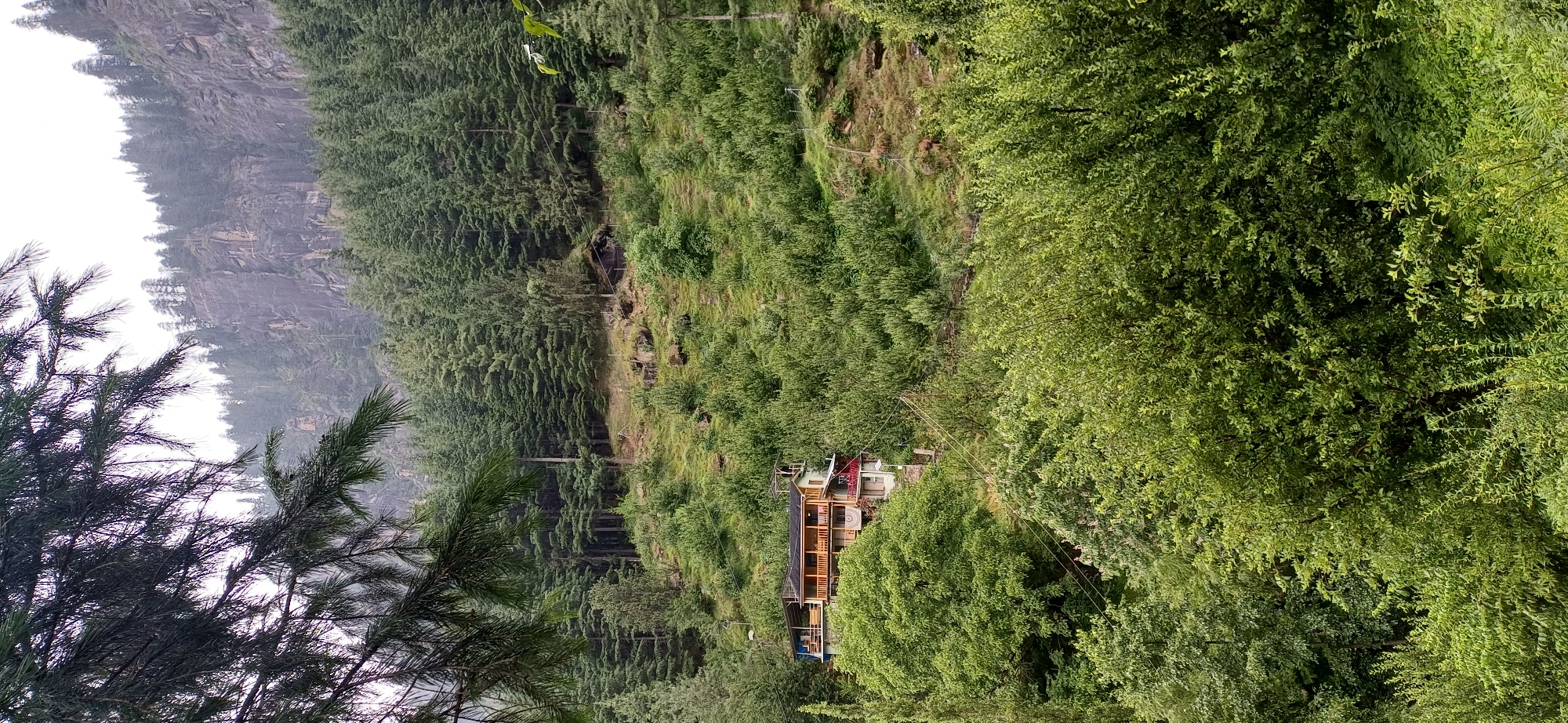 A multi-story building with a brown wooden facade and balconies is nestled on a lush, green hillside in Vashisht, India. The building features multiple levels and is surrounded by dense vegetation, including tall trees and smaller bushes. In the background, a steep, rocky cliff face rises, partially obscured by a dense forest of coniferous trees. The sky is overcast, suggesting a cloudy or misty day. The scene captures a rural, mountainous landscape with a dwelling integrated into the natural environment.