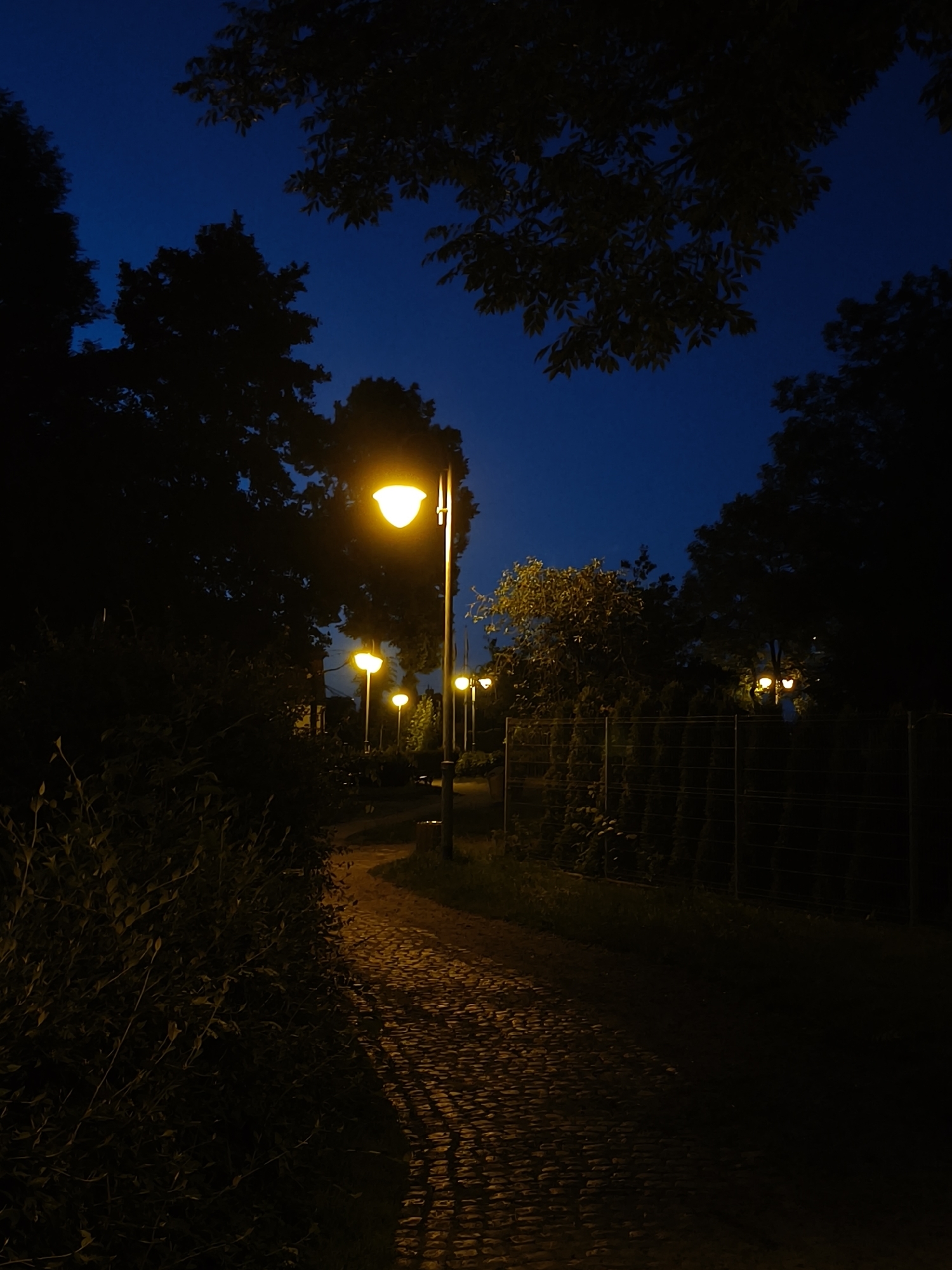This is a nighttime photograph of a cobblestone pathway winding through a park in Rumia, Poland. Several lampposts with warm yellow lights illuminate the path, casting long shadows. The path is bordered by dark foliage on the left and a fence with dense greenery behind it on the right. Trees with dark silhouettes are visible against the deep blue night sky, with some branches extending into the frame at the top. The scene appears tranquil and empty.