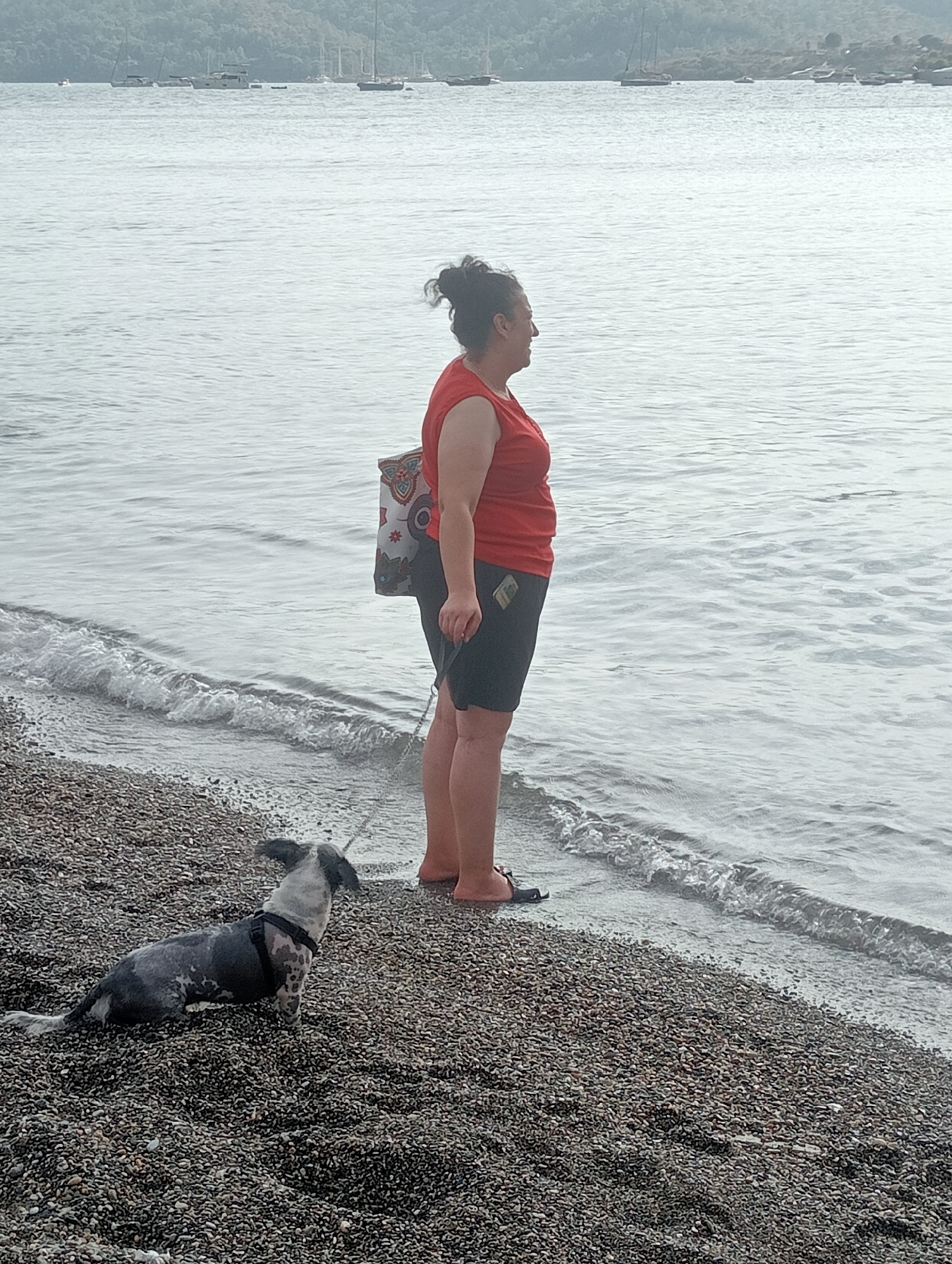 A woman stands on a pebble beach in Fethiye, Turkey, looking out at the sea. She is wearing a red tank top and dark shorts, and has a patterned bag slung over her shoulder. A small, gray and white dog, wearing a black harness, sits on the beach next to her. The water is calm, with small waves lapping at the shore. In the background, several boats are anchored in the distance, and a hazy, tree-covered hillside rises from the far shore. The overall scene is one of a peaceful day at the seaside.