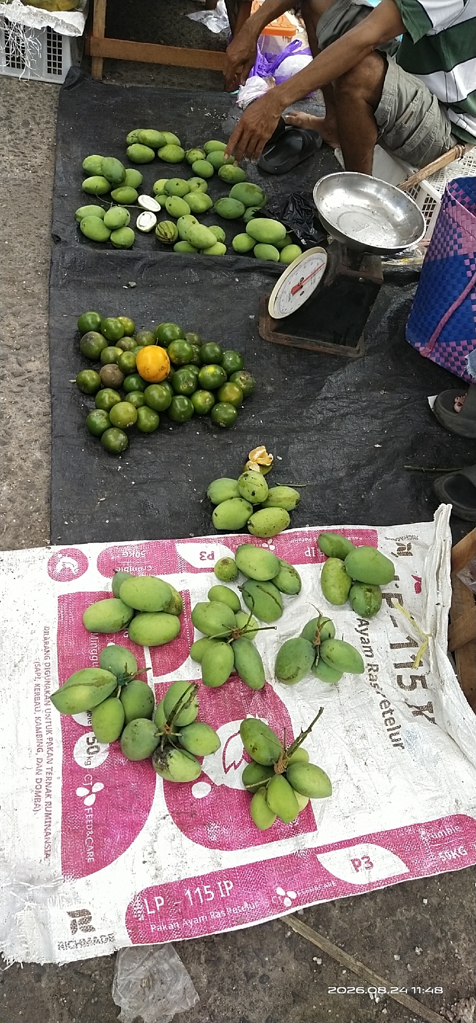 A street vendor in Tamiang Layang, Indonesia, is selling fresh produce. The image shows a pile of green mangoes and small green citrus fruits arranged on a black plastic sheet. One yellow citrus fruit is placed in the center of the citrus pile. In the background, a person's hands are visible, suggesting they are attending to the sales. A weighing scale and a metal bowl are also present on the sheet. Further in the background, a woven basket and more fruit can be seen. The ground is concrete, indicating an outdoor market setting. The lower portion of the image displays a portion of a white sack with text and graphics, possibly indicating the type of produce or packaging. The timestamp "2026.08.24 11:48" is visible in the bottom right corner.