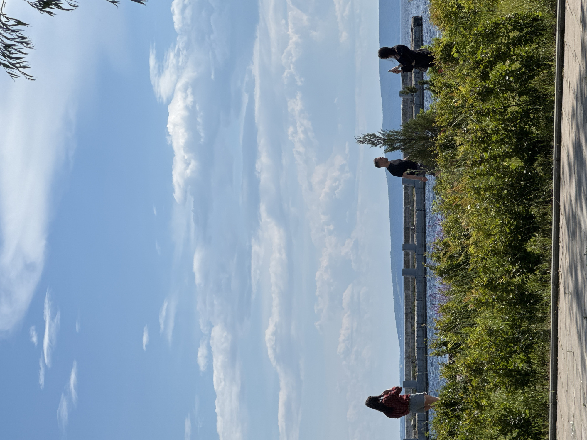 This image depicts an outdoor scene with several people present. The sky is a bright blue with scattered white clouds, suggesting a clear day. The sun is casting shadows, indicating it is likely daytime, possibly late morning or afternoon.
There are at least four individuals visible. One person, wearing a red and black checkered shirt and denim shorts, is standing near a dense green bush and appears to be looking at their phone. Another person, wearing a black outfit, is partially obscured by the bush and also seems to be looking at a device. Further back, two other individuals in black clothing are standing near a concrete structure beside a body of water. One of these individuals is also looking down, possibly at a phone.
The setting appears to be a waterfront area with a paved walkway or path on the right side of the image. A stone or concrete barrier runs along the edge of the water, and there is abundant green foliage, including bushes and some trees. The water itself is calm and blue, with distant landforms or mountains visible across it.
The overall mood seems relaxed and casual, with people engaged in their own activities or simply enjoying the outdoor environment. There is no visible text in the image.