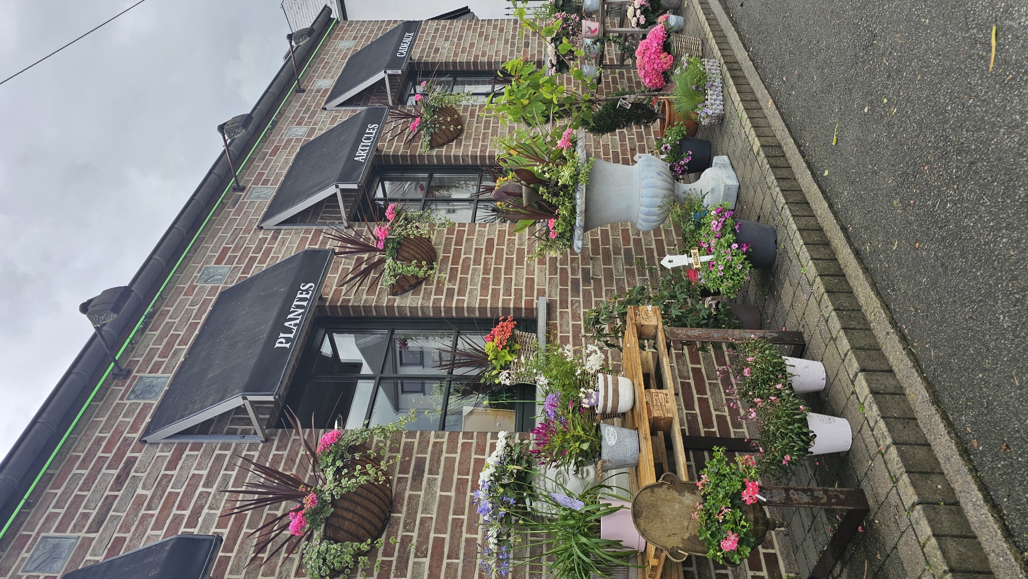 The image captures the vibrant exterior of a building, likely a plant or flower shop, adorned with numerous plants and flowers. The brick building features a reddish-brown facade with dark-framed windows and several square glass blocks interspersed within the brickwork. Three prominent black awnings extend over individual windows, each bearing white text: "PLANTES" (Plants) on the leftmost, "ARTICLES" (Articles) in the middle, and "CADEAUX" (Gifts) on the rightmost.
A diverse array of potted plants and colorful flowers is displayed along the building's base and on the adjacent stone-paved sidewalk. Hanging baskets, filled with pink flowers and trailing greenery, are suspended beneath the windows. Larger decorative urns, including a pale blue one and another grey stone one, hold lush arrangements of plants with both green and burgundy foliage, and bright pink blooms. Smaller pots, some striped or in solid colors like grey and white, contain various flowering plants in shades of pink, purple, and white. Wooden pallets are repurposed as tiered display stands for some of the potted plants, alongside metal stands. A small white cross-shaped sign in one pot reads "WELCOME."
The display extends onto a grey asphalt road that runs alongside the paved area. The sky is overcast, indicating a cloudy daytime setting. The scene evokes a welcoming and vibrant atmosphere, characteristic of a retail establishment specializing in flora. The location is Boussu-lez-Walcourt, Belgium.
