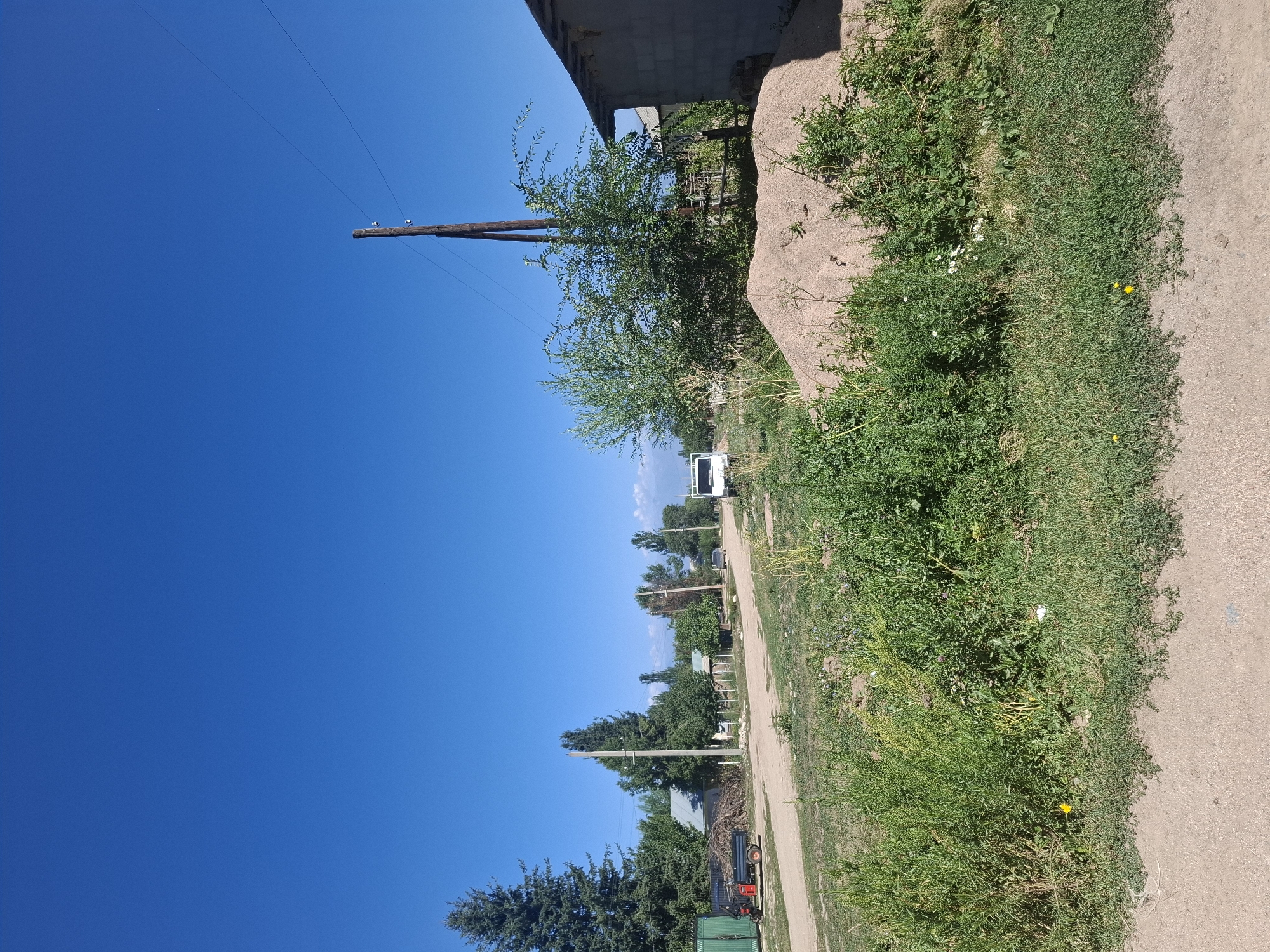 The image captures a rural scene under a clear blue sky, likely in Jeti-Ögüz, Kyrgyzstan. A dirt road winds through the frame, bordered by overgrown green vegetation and a pile of light brown sand to the right. In the background, several single-story houses with light-colored roofs are visible, interspersed with mature trees. A tall, weathered wooden utility pole stands prominently on the right side of the road, with thin wires extending from it. On the left side of the road, a small three-wheeled utility vehicle with a red trailer loaded with branches is parked near a green fence. Further down the road, a white van is stopped. The environment appears dry and sun-drenched, characteristic of a warm day in a semi-arid or steppe region. The overall impression is one of a quiet, sparsely populated area.