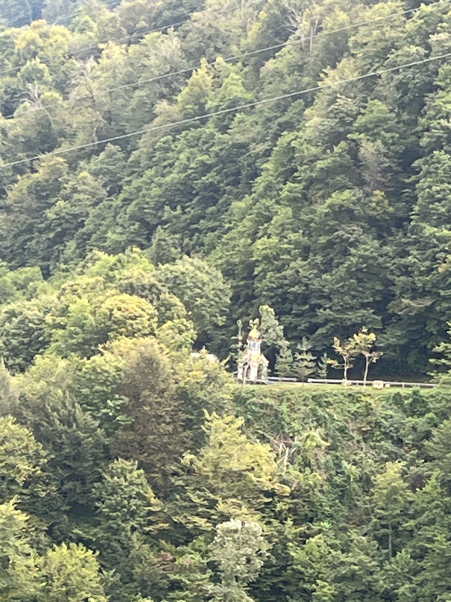 The image depicts a dense forest on a mountainside, with a small, multi-colored structure that resembles a miniature castle or a decorative building visible on a ridge in the mid-ground. The structure has a golden dome and appears to be made of stone with white and blue accents. It is surrounded by trees and a railing or low wall is present along the ridge. The forest is lush and green, with varying shades indicating different types of trees and the dappled sunlight. Power lines are faintly visible stretching across the upper portion of the image. The scene is tranquil and natural.