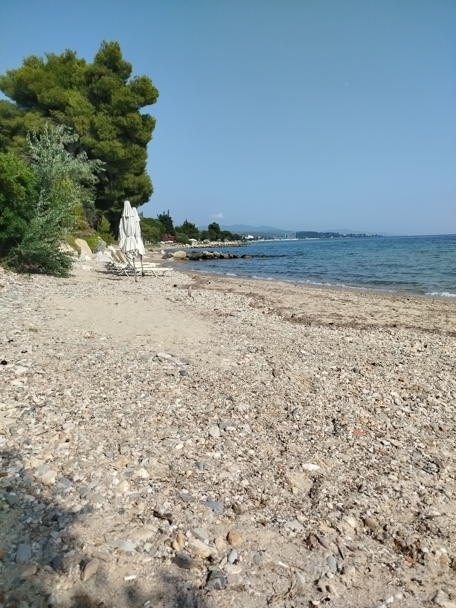 This is a low-angle, full shot of a pebble and sand beach in Sithonia Municipal Unit, Greece. The scene is dominated by the beach in the foreground, a calm sea in the middle ground, and a clear blue sky in the background. The beach is covered with numerous small, light-colored pebbles and patches of sand. Further back, a few lounge chairs and closed beach umbrellas are visible, suggesting a recreational area. Lush green trees, including a large pine tree, are situated behind the lounge chairs, adding a natural element to the scene. The sea is a tranquil turquoise, with gentle waves lapping the shore. In the distance, a coastline is visible with scattered buildings, more trees, and a few sailboats anchored offshore. The overall impression is one of a peaceful and scenic beach environment.