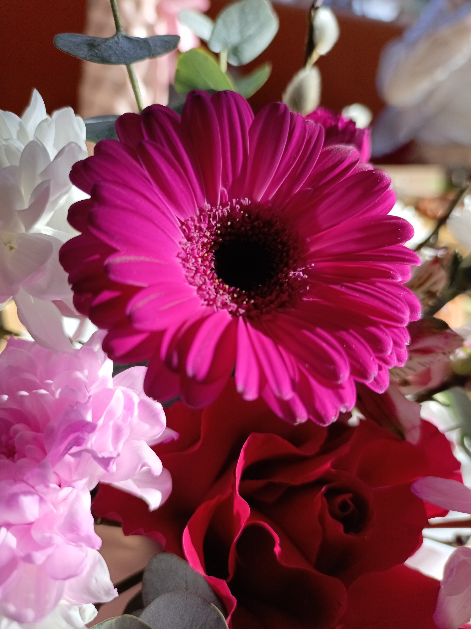 A close-up photograph displays a floral arrangement, located in Chaikovsky, Russia. The primary subject is a fuchsia-colored gerbera daisy, centered in the upper frame, featuring numerous petals radiating from a dark floret disk. To its upper left and lower left are white, multi-petaled flowers. A partially opened red rose is visible directly below the gerbera and extending to the lower right. A light pink, densely petaled flower is present in the lower-left quadrant. Interspersed throughout the arrangement are bluish-green eucalyptus leaves and light-colored, fuzzy catkins visible in the blurred background. The scene is illuminated from the upper left, casting highlights on the flower petals against a softly blurred, indistinct background featuring reddish-brown and lighter tones. No individuals or active interactions are depicted.