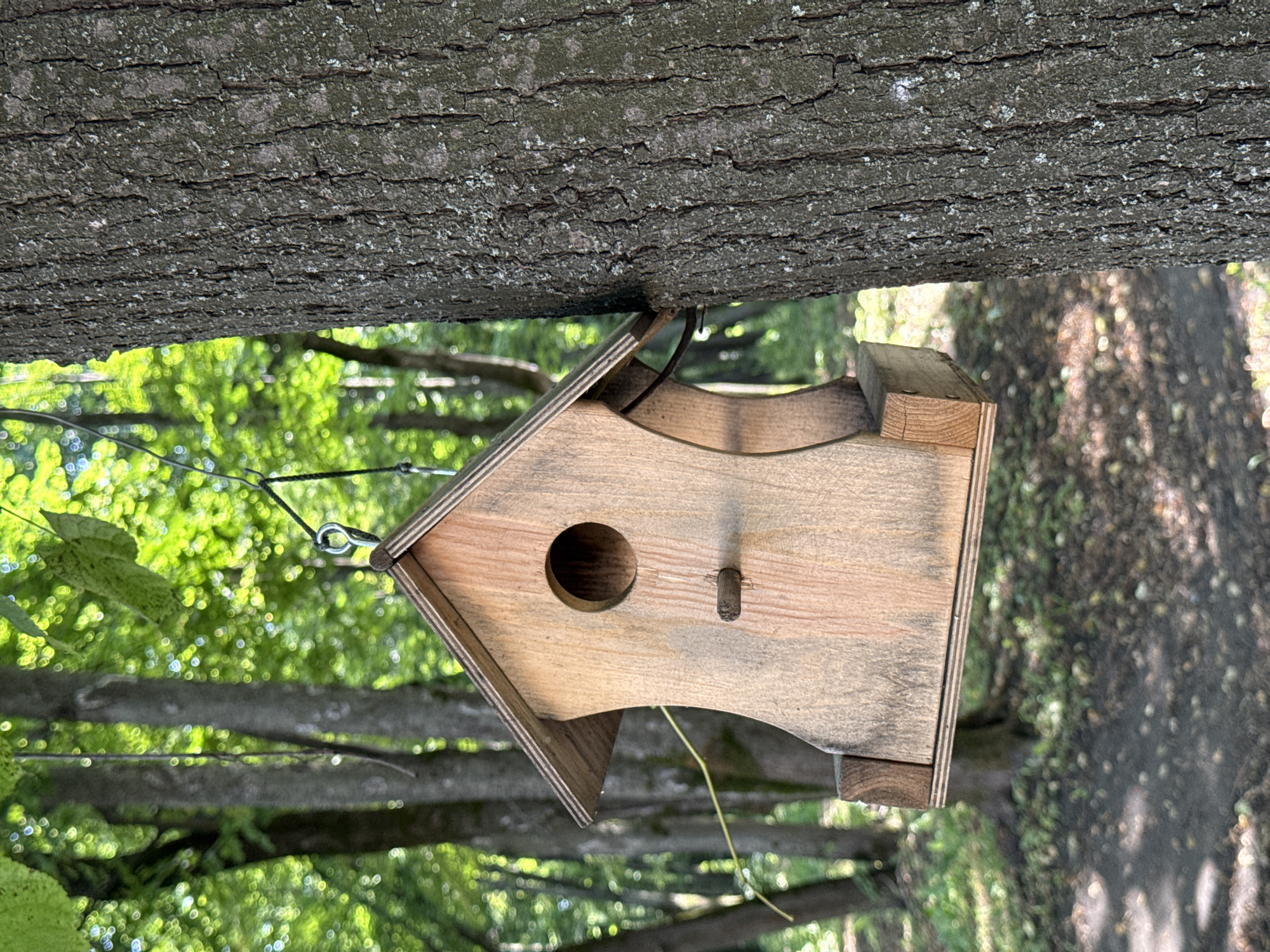 A wooden birdhouse hangs from a metal hook attached to a dark, textured tree trunk in a park-like setting. The birdhouse is light-colored wood with a circular opening on its front and a small perch below it. The background shows a blurred scene of trees with green foliage, suggesting it is daytime and possibly summer or spring. The ground below is covered with fallen leaves and appears to be a dirt path. The image does not contain any people or provide specific indicators of the location within the city of Ryazan, Russia.