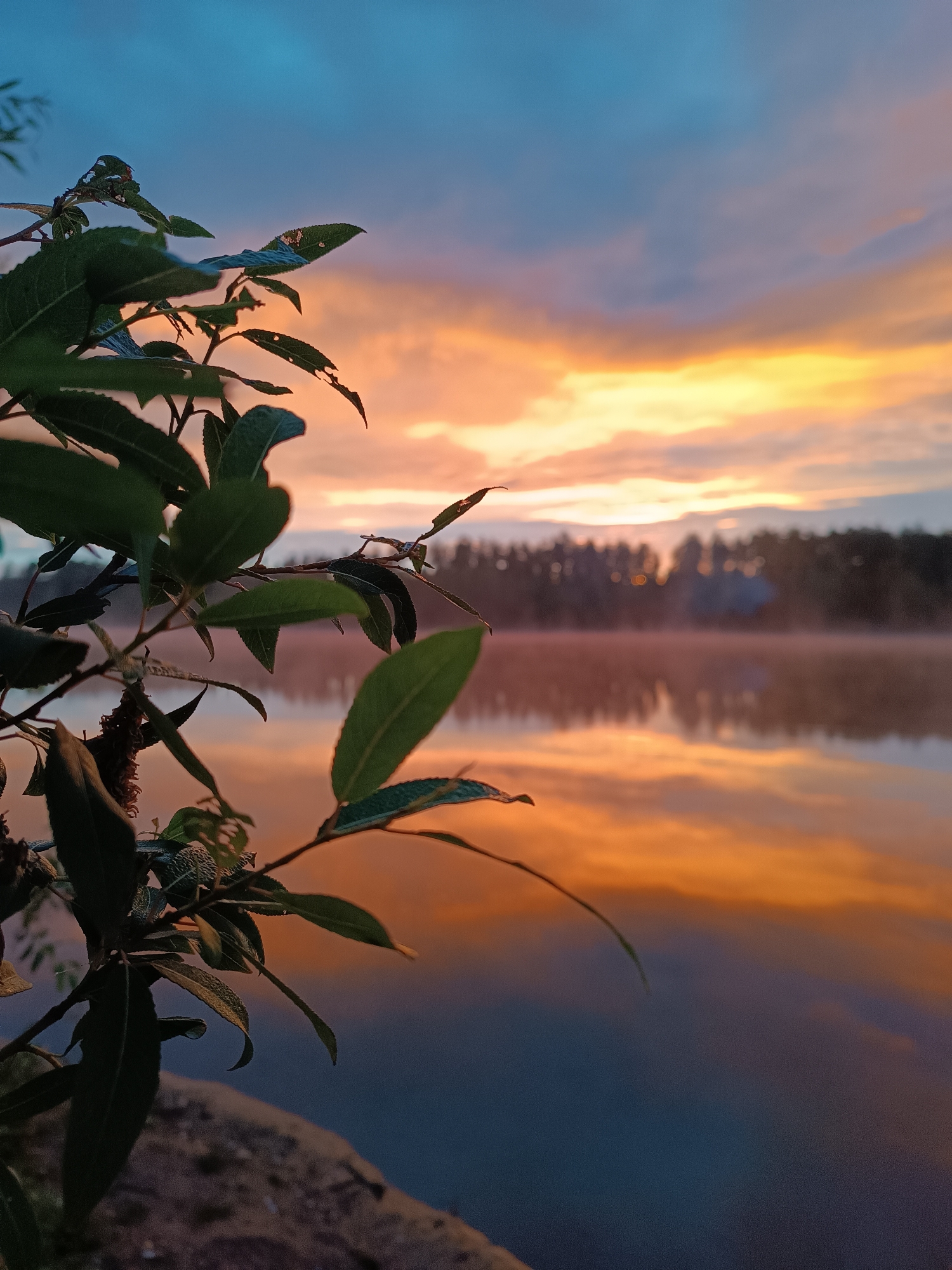 The image captures a tranquil dawn scene at a lake in Opary, Russia. In the foreground, a branch with green leaves is silhouetted against a vibrant sky painted with hues of orange, yellow, and blue. The leaves are detailed, showing some imperfections. The lake in the middle ground reflects the colorful sky, creating a mirror-like effect. A thin layer of mist hovers over the water's surface, adding to the serene atmosphere. The background features a dense line of trees, partially obscured by the mist, and a faint outline of a building is visible among them. The ground in the immediate foreground is a rough, textured surface, possibly soil or rock. The overall impression is one of peaceful natural beauty at the start of a new day.