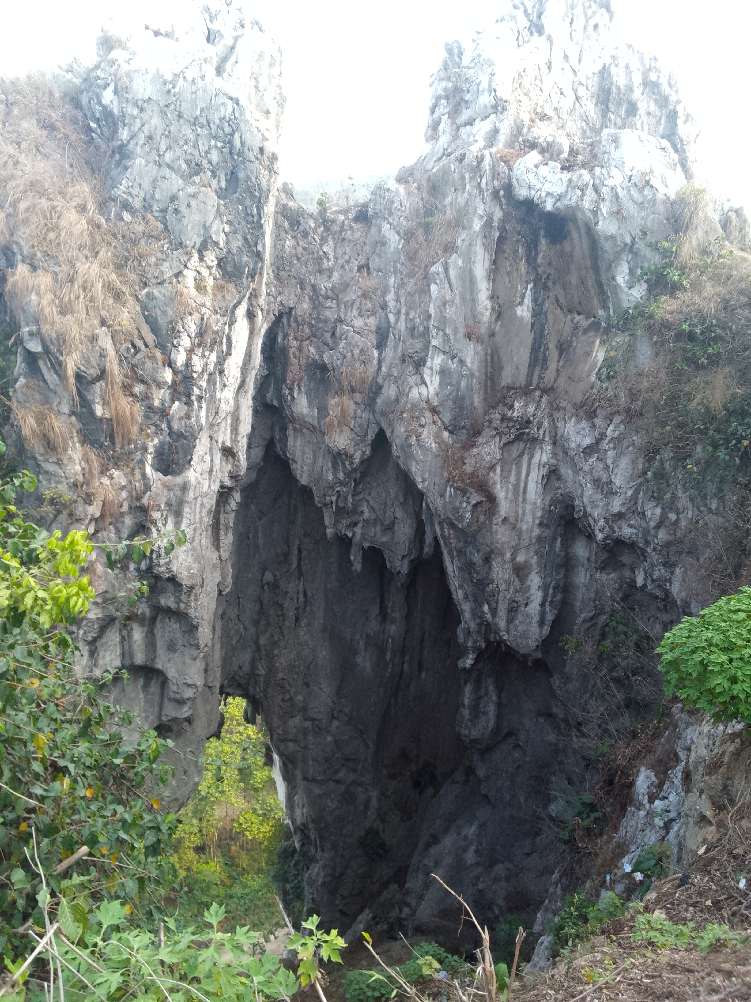 The image shows a view of a large rock formation with a natural archway. The rock is gray and appears to be weathered, with rough textures and visible cracks. Vegetation, including dry grass and green leafy plants, grows on and around the rocks. The archway reveals a glimpse of a forest with lush green trees in the background, suggesting an outdoor natural environment. The lighting is bright, indicating daylight. There are no people or animals visible in the image. The scene appears to be an untouched natural landscape.