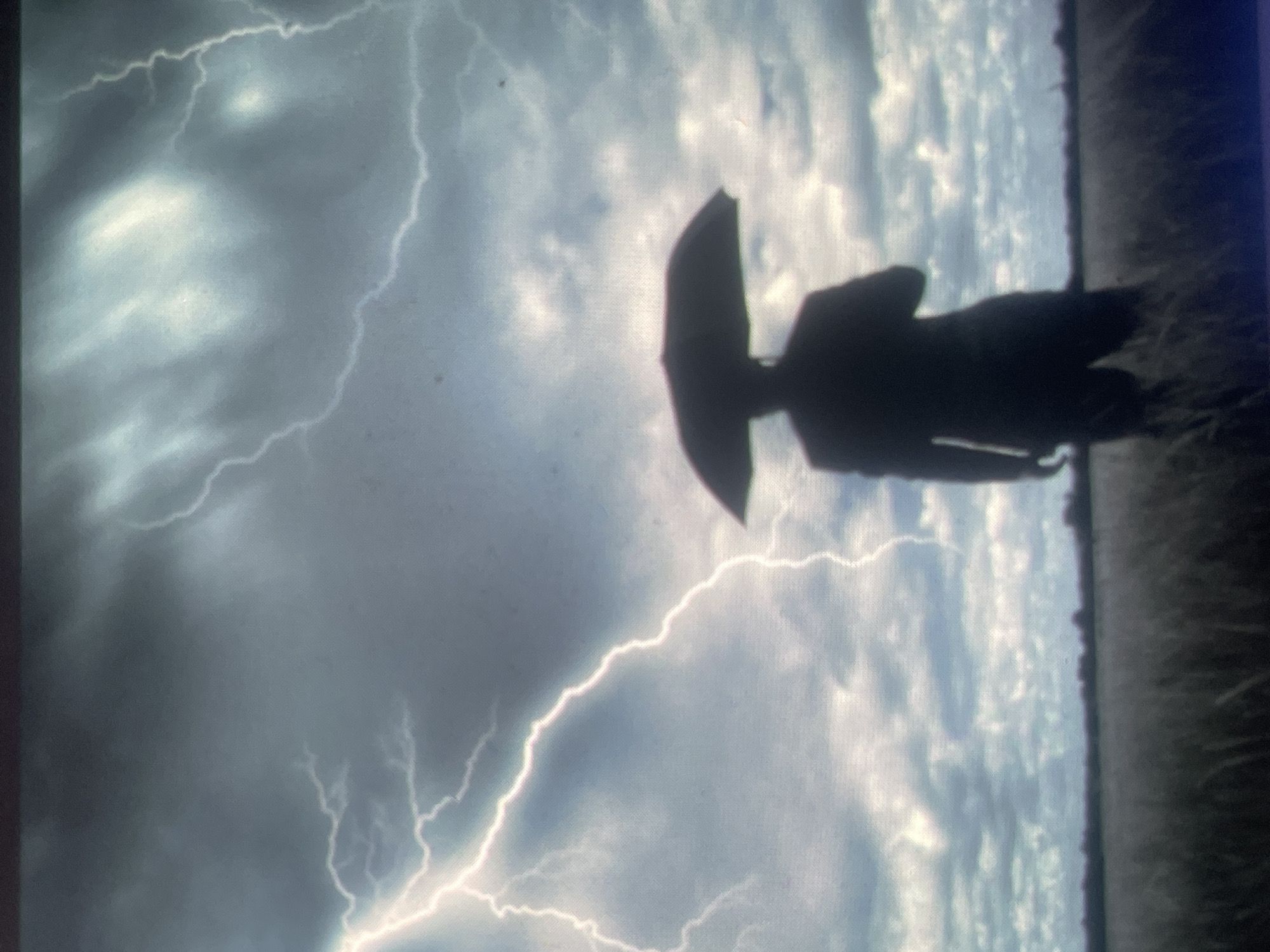 The image portrays a lone human figure, silhouetted against a dramatic stormy sky, standing in an open field in Zelenyi Hai, Ukraine. The individual, dressed in what appears to be a suit, holds an open umbrella directly above their head. The sky is characterized by dark, turbulent clouds, illuminated by multiple bright white lightning strikes. A prominent lightning bolt originates from the upper left and diagonally crosses the sky. The lower portion of the image shows a field of tall, dry vegetation, likely agricultural, extending towards a distant, blurred tree line on the horizon. The overall lighting suggests an intensely overcast or twilight condition, emphasizing the stark silhouette of the person and umbrella against the electrically charged atmosphere.