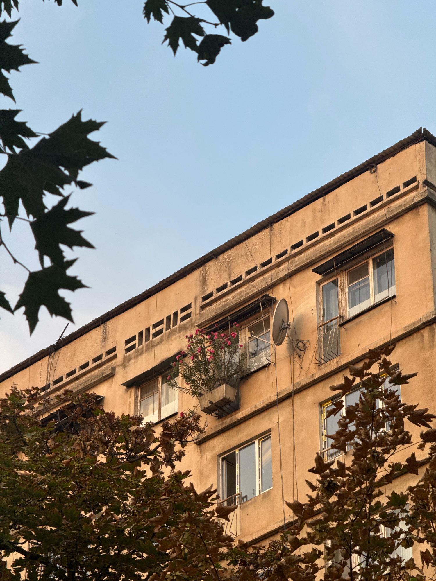 The image shows the facade of a weathered, beige apartment building, likely in Dushanbe, Tajikistan. The building has a rough stucco finish and features a row of decorative rectangular openings near the top. Several windows are visible, some with metal grates or awnings. One window on the upper floor has a planter box with pink flowers. A satellite dish is mounted on the exterior wall. The sky above is a pale blue. The lower part of the image is partially obscured by the dark green leaves of trees in the foreground, some of which show signs of autumnal color change. The scene appears to be captured during daylight hours, with the warm tones of the building suggesting the sun is at a low angle. No people are visible.