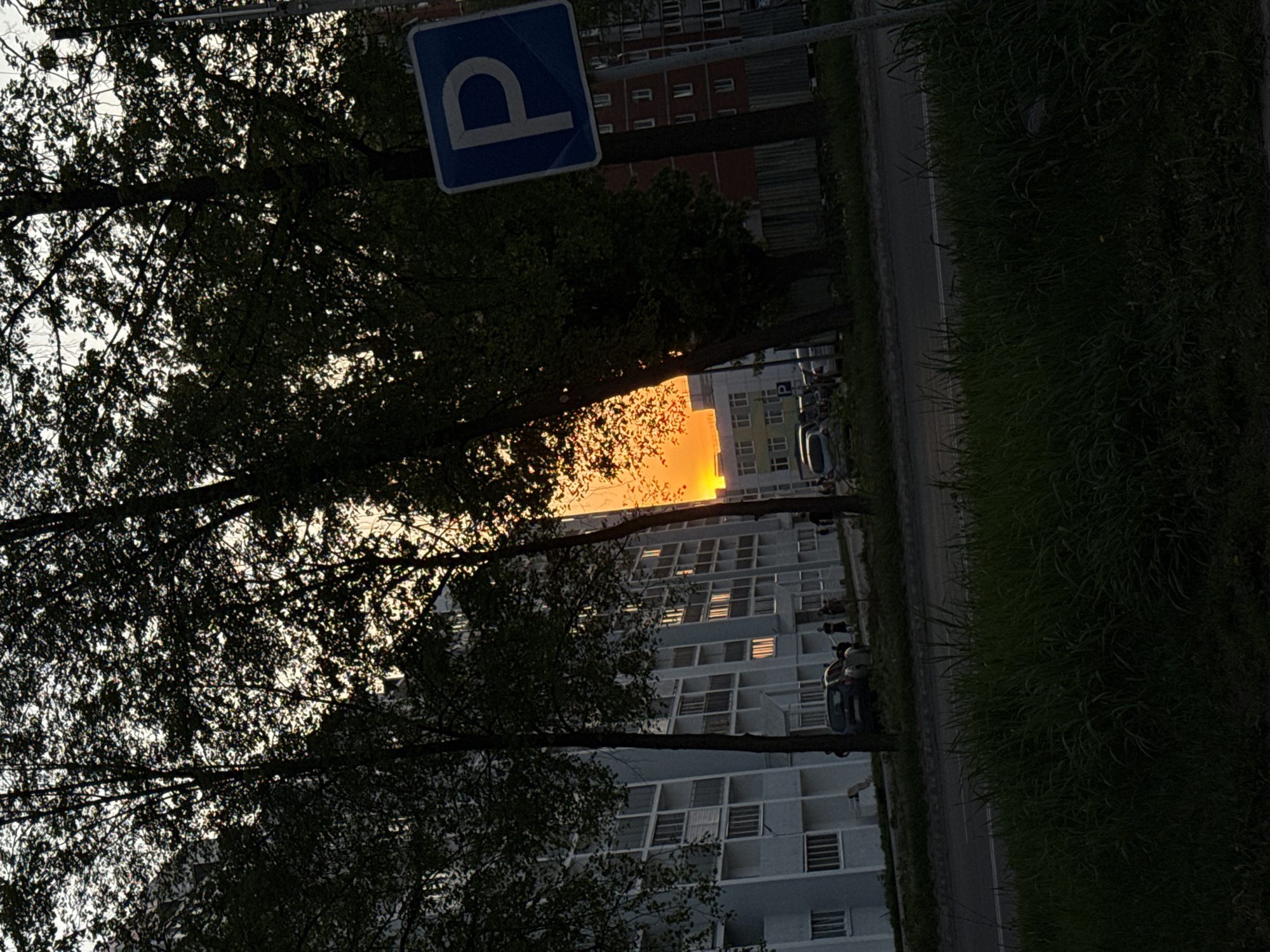 The image depicts a street scene in what appears to be Chaikovsky, Russia, based on architectural cues. The view is partially obscured by trees, especially on the left. A blue and white parking sign ("P") is visible near the top. Buildings with a repeating pattern of windows and balconies are in the background. A street with parked cars is on the right. The sun is setting, creating an orange glow between the buildings. There are no visible people. Tall grass lines the edge of the street on the right.