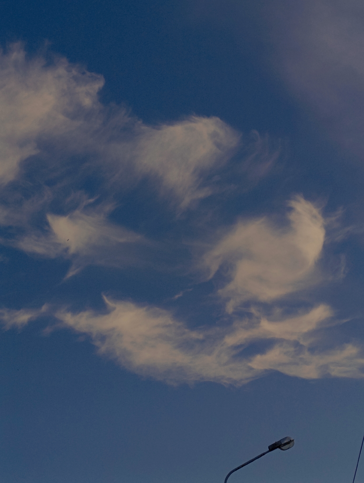 The image captures a section of the sky above Minsk, Belarus. The sky is a deep blue, indicative of dusk or dawn. Wispy, light-colored clouds are scattered across the upper portion of the frame, with some appearing to form abstract shapes. In the lower right quadrant of the image, a street lamp on a dark pole is visible, angled upwards. The lamp itself is a metallic fixture with a clear or frosted glass cover. The overall scene suggests an outdoor urban environment at a time of low light. There are no people or discernible actions in the image.