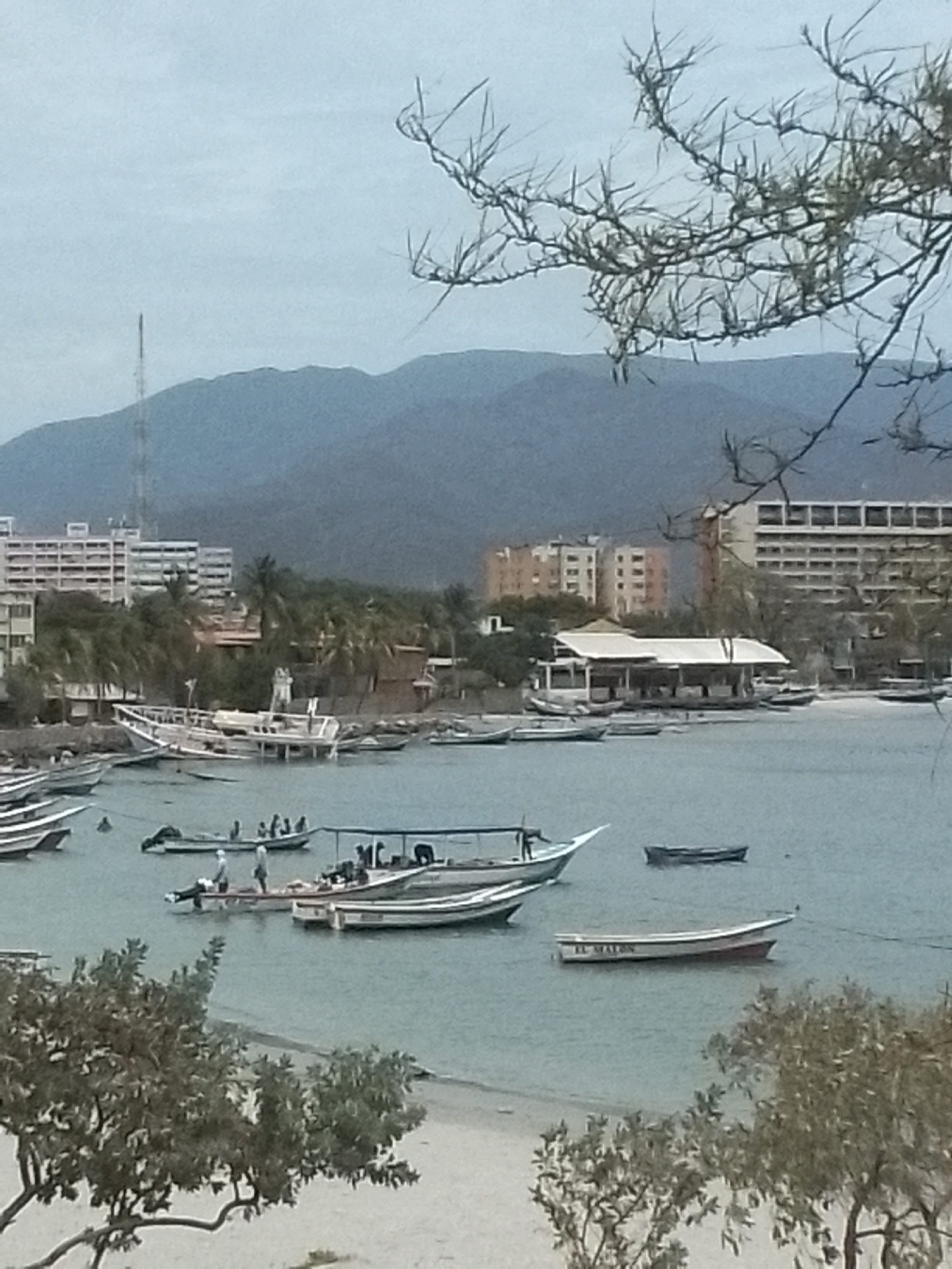 The image depicts a seascape with a bay filled with numerous small boats. In the background, there is a city with several multi-story buildings and a communications tower visible. Mountains are present in the far background under an overcast sky. In the foreground, there are trees with sparse foliage.
The presence of the buildings and boats suggests the location is a coastal area. Based on the reference to Juan Griego, Venezuela, the scene is likely a view of the bay in that city. There are people visible on and near some of the boats, indicating activity possibly related to fishing or transportation.