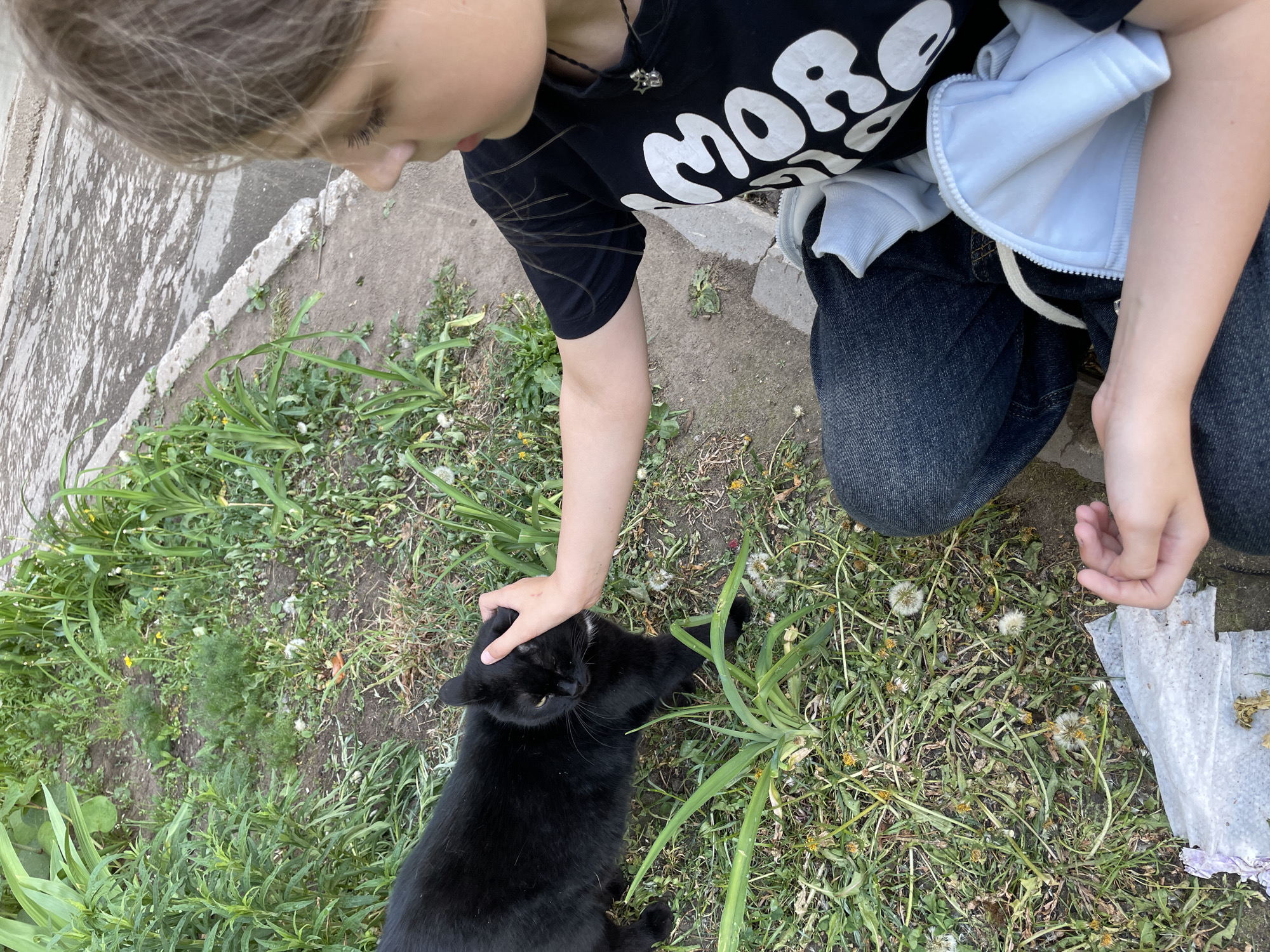 A young girl is kneeling in a grassy area, petting a black cat. The girl is wearing a black t-shirt with white text, dark jeans, and a light-colored hooded jacket. The cat is lying on the grass, and the girl's hand is on its head. The grass is mixed with dandelions and some broadleaf plants. A concrete sidewalk or path is visible in the background. The location is outdoors in the city of Izhevsk, Russia. A piece of crumpled tissue is also visible in the grass.