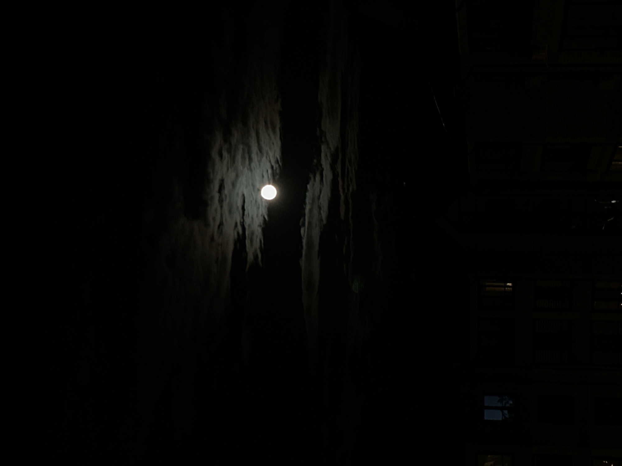 The image depicts a dark night scene in an unidentified urban location. The most prominent feature is a bright, circular moon positioned between dark, vertical streaks or shapes that could be trees or building structures. To the right of the moon, faint rectangular shapes suggest the presence of a building with windows. The overall impression is one of darkness punctuated by the strong light of the moon and the artificial lights within the nearby building. The image provides no evidence to confirm that it was taken in Vladimir, Russia.