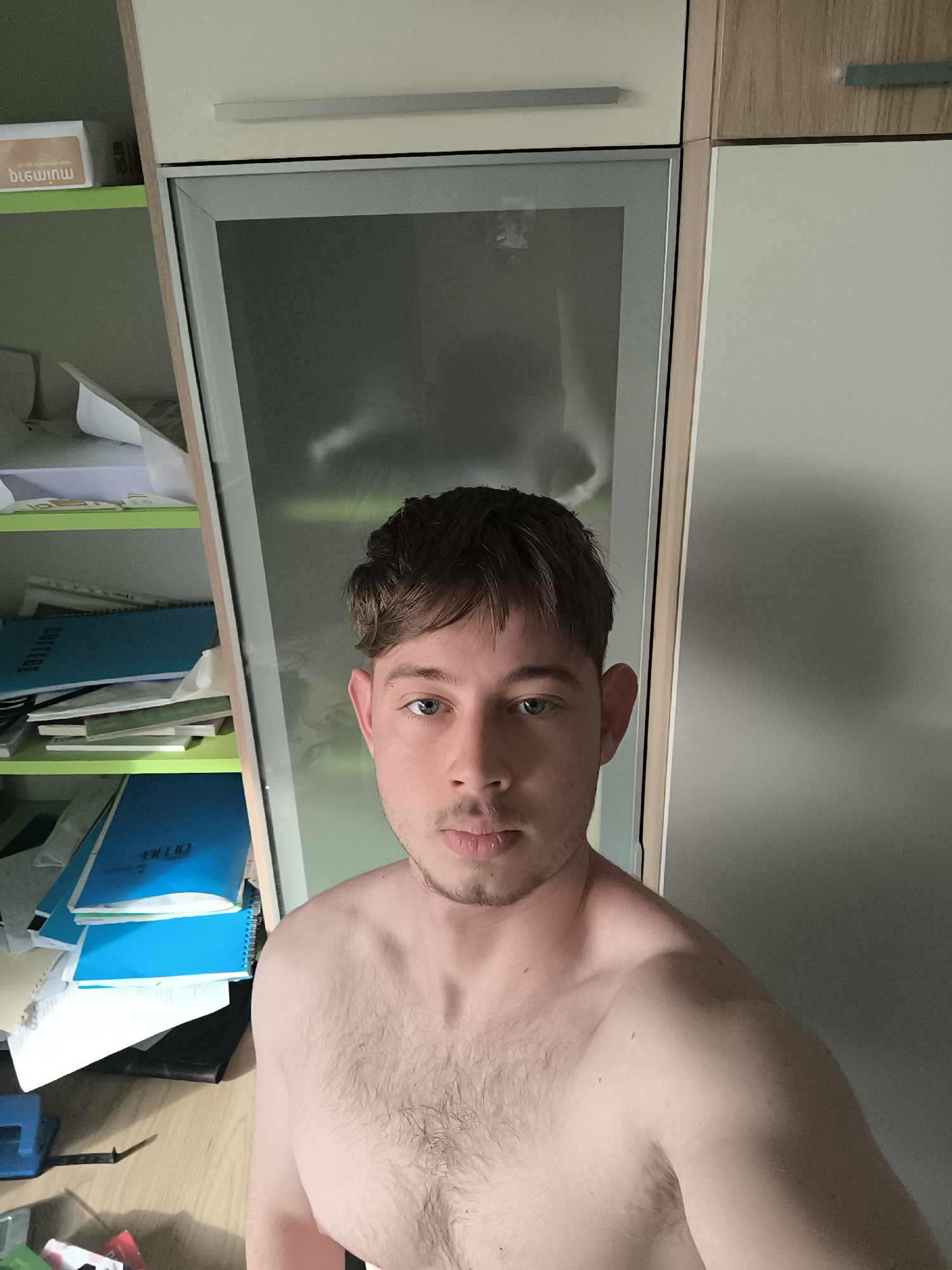 A fair-skinned, topless man with short, dark brown hair and blue eyes is centered in the frame. He has light stubble. The background consists of a cabinet unit. To his left is a cabinet with open shelves filled with papers and notebooks, including a blue notebook on top. The center cabinet door is reflective, blurring the environment in the reflection. To his right is a closed cabinet with a light-colored door. The location is not identifiable as being in Sofia, Bulgaria.