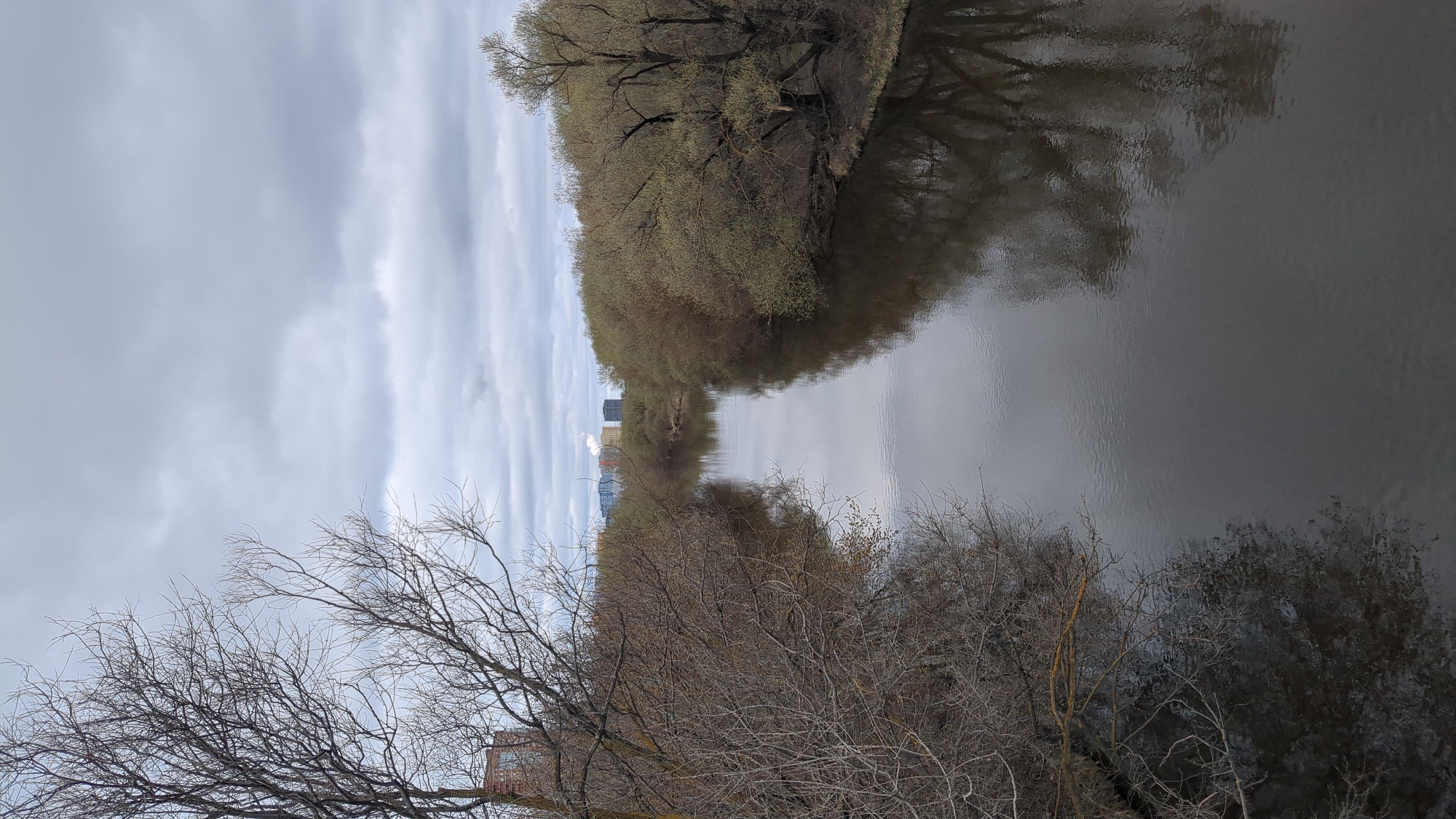 The image depicts a river in Ulyanovsk, Russia, flanked by trees on both sides. The trees in the foreground are mostly bare, while those further away show signs of budding. The river surface reflects the trees and a cloudy sky. In the distance, buildings are visible on the horizon.