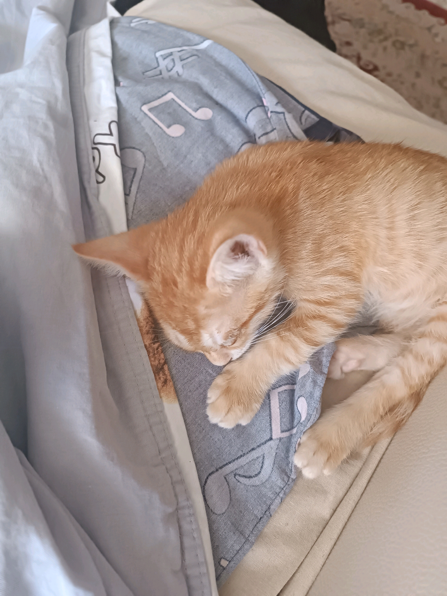 An orange tabby kitten is sleeping on a patterned fabric. The kitten is curled up on its side, with its head resting on its paws. The fabric is blue and white with a musical note pattern. The kitten's fur is short and soft, and its eyes are closed. The background is blurred, but appears to be a light-colored sofa or bed. This scene is located in a residential apartment in Başakşehir, Turkey.