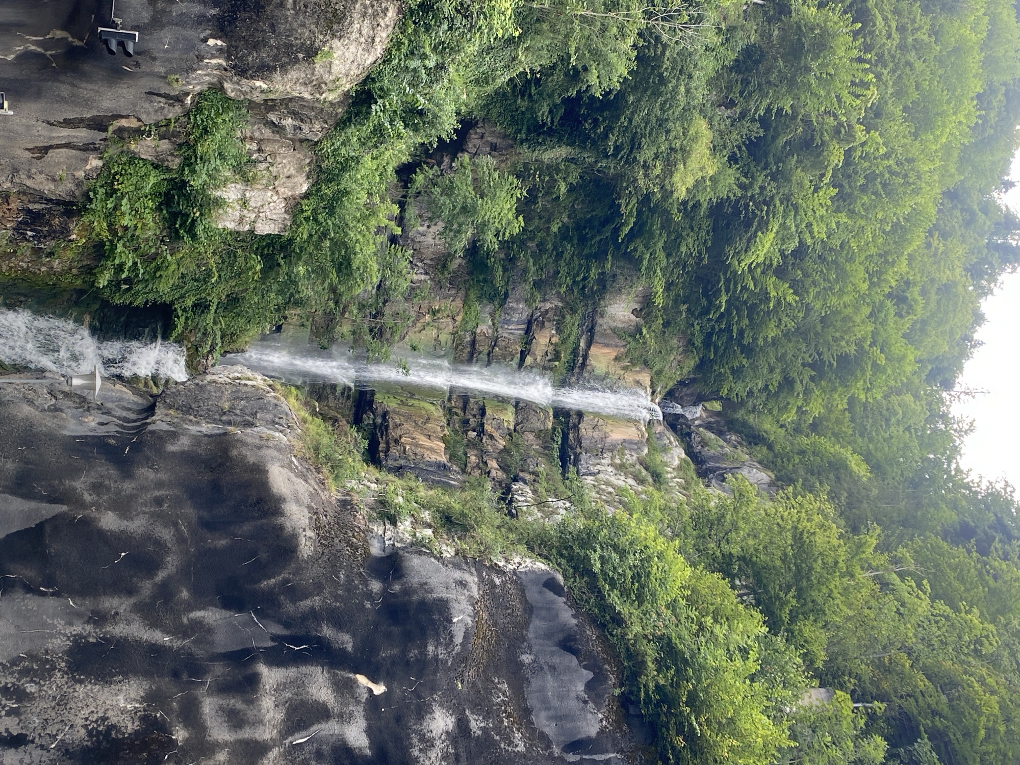 The image shows a majestic waterfall cascading down a rocky cliff face, surrounded by lush green trees and foliage. The waterfall is the primary subject, with its white water contrasting sharply against the darker rock. The cliff is steep and textured, with patches of moss and vegetation clinging to its surface. The surrounding environment is a dense forest, with tall trees creating a canopy overhead. The overall impression is one of natural beauty and rugged wilderness. The scene is captured from a slightly low angle, emphasizing the height and power of the waterfall.
