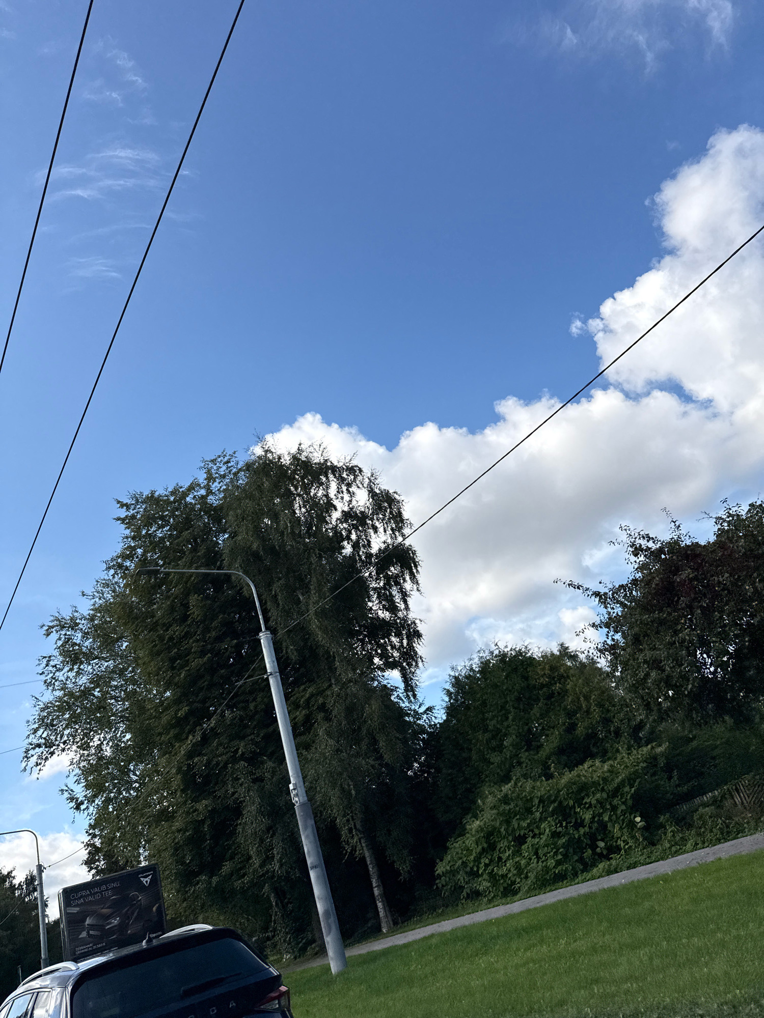The image shows a bright, overcast day with a blue sky filled with fluffy white clouds. Two black power lines stretch diagonally across the upper portion of the frame. On the left, a tall, slender streetlamp stands against a backdrop of dense green trees, including a tall birch tree with white bark. To the right of the birch, more dark green foliage fills the frame. In the lower left corner, the rear of a dark-colored SUV is visible, parked partially in front of a billboard. The billboard features an advertisement for a CUPRA car, with text visible that appears to be in Estonian. A patch of neatly cut green grass is in the foreground. The scene appears to be in an urban or suburban area, possibly a park or roadside in Tallinn, Estonia.