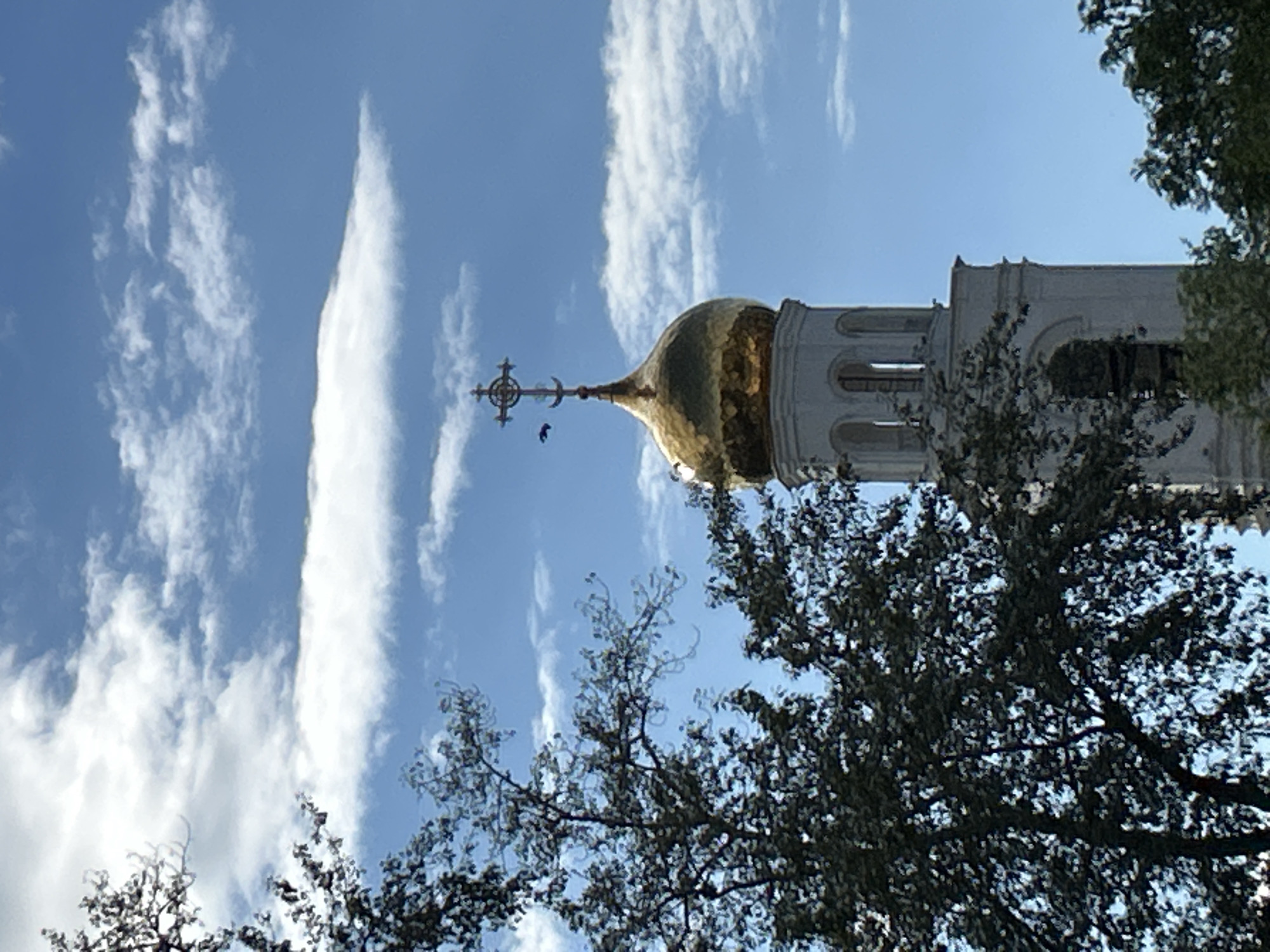 The image captures a close-up view of a golden dome and bell tower of an Orthodox church, possibly the Church of the Kazan Icon of the Mother of God, located in Novokuybyshevsk, Russia. The church is set against a bright blue sky with scattered white clouds. In the foreground, the dark foliage of a large tree partially obscures the lower portion of the bell tower. A small, dark bird is in flight near the cross atop the dome. The bell tower is white with arched windows, and the dome is a vibrant gold, reflecting the sunlight. The overall scene suggests a clear, sunny day.