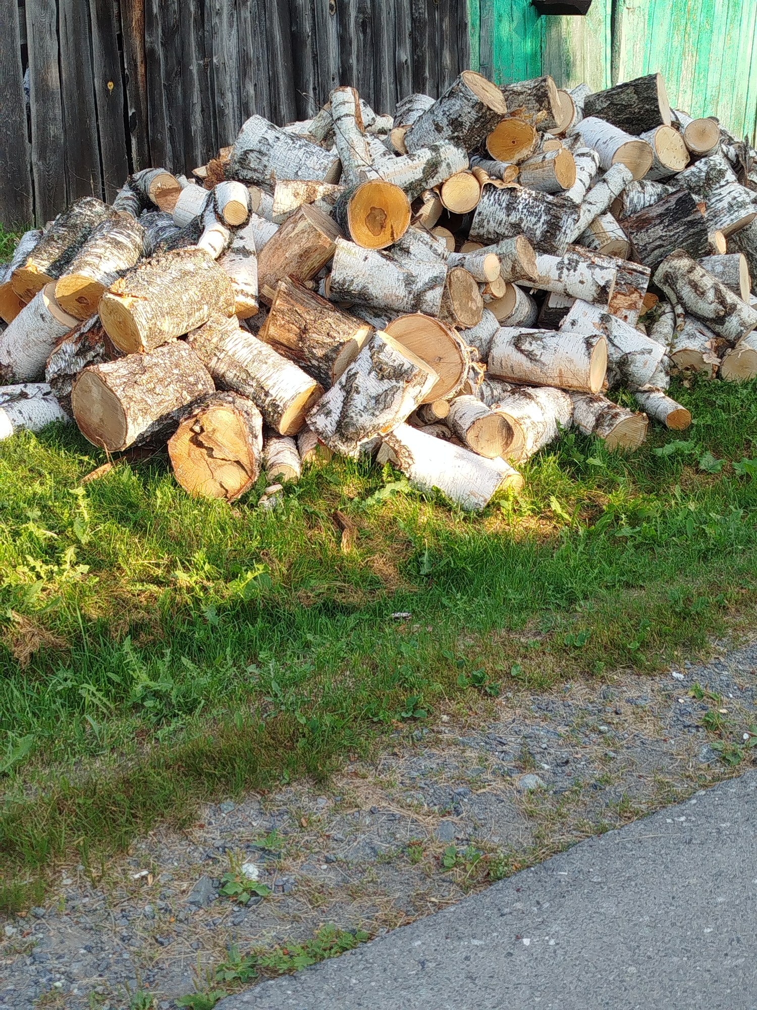 A large pile of cut birch logs is stacked in front of a weathered wooden fence and a bright green wooden structure. The logs are of various sizes, with some showing the characteristic white bark with dark markings. The pile is situated on a grassy area, with a gravel path and asphalt road visible in the foreground. The lighting suggests it is daytime, with sunlight casting shadows on the grass. The scene appears to be in a rural or semi-rural setting, consistent with a property in Zavodoukovsk, Russia, where such woodpiles are common for heating purposes. There are no people or animals visible in the image.
