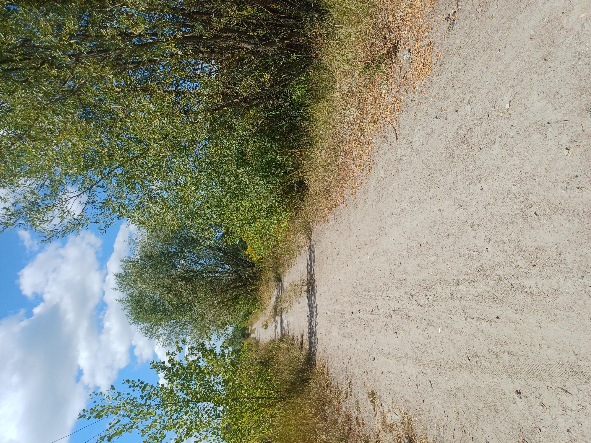 A dirt road winds through a rural landscape under a blue sky with scattered white clouds. The road is flanked by tall, leafy trees and dry, yellowed grass. The trees on the right are dense and dark green, while those on the left are lighter green and more sparse. The ground of the road is dusty and shows tire tracks. The overall scene suggests a warm, sunny day in a natural setting, likely in the countryside outside of a city. This scene is located in the village of Sulymivka, Ukraine.