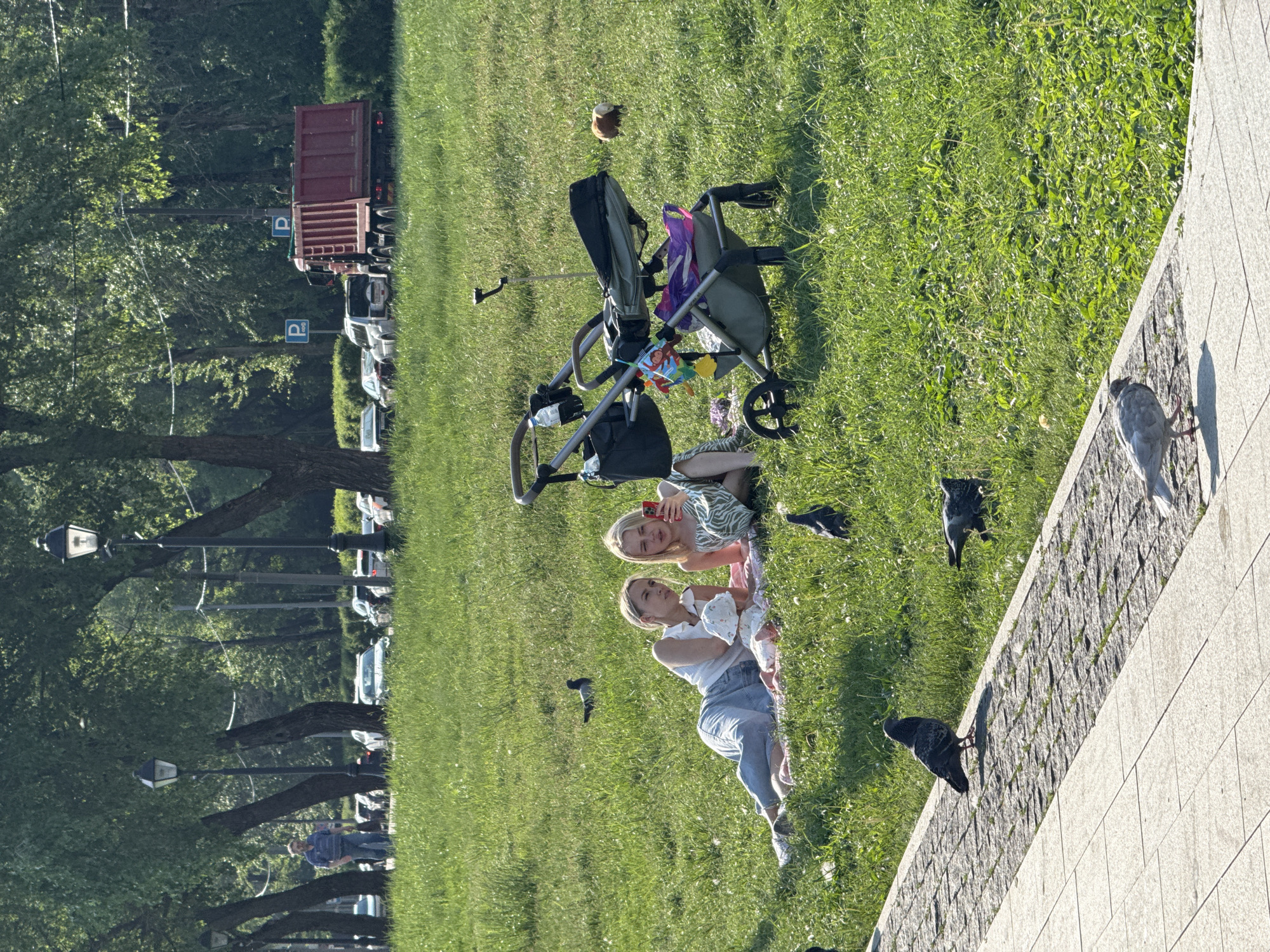 The image depicts a scene in a park in Moscow, Russia. Two women are lying on the grass with a baby, near a stroller, surrounded by pigeons. One of the women is holding a phone, possibly taking a picture. In the background, there are trees, a road with parked cars, street lights, and a truck. The park is adjacent to a paved area.