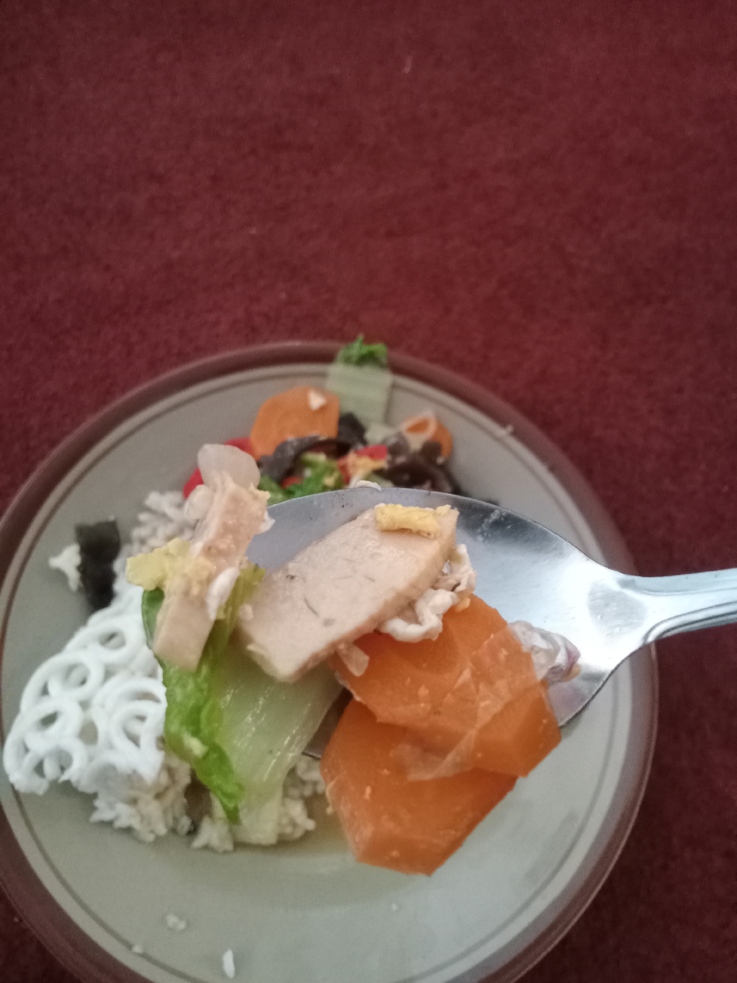 A close-up shot shows a metal spoon filled with food, hovering over a plate. The food on the spoon consists of sliced chicken breast, pieces of carrot, and leafy green vegetables. The plate beneath contains white rice and what appears to be crackers. The background is a textured red surface, likely a tablecloth or rug. The scene is set in a domestic environment in Simo, Indonesia.