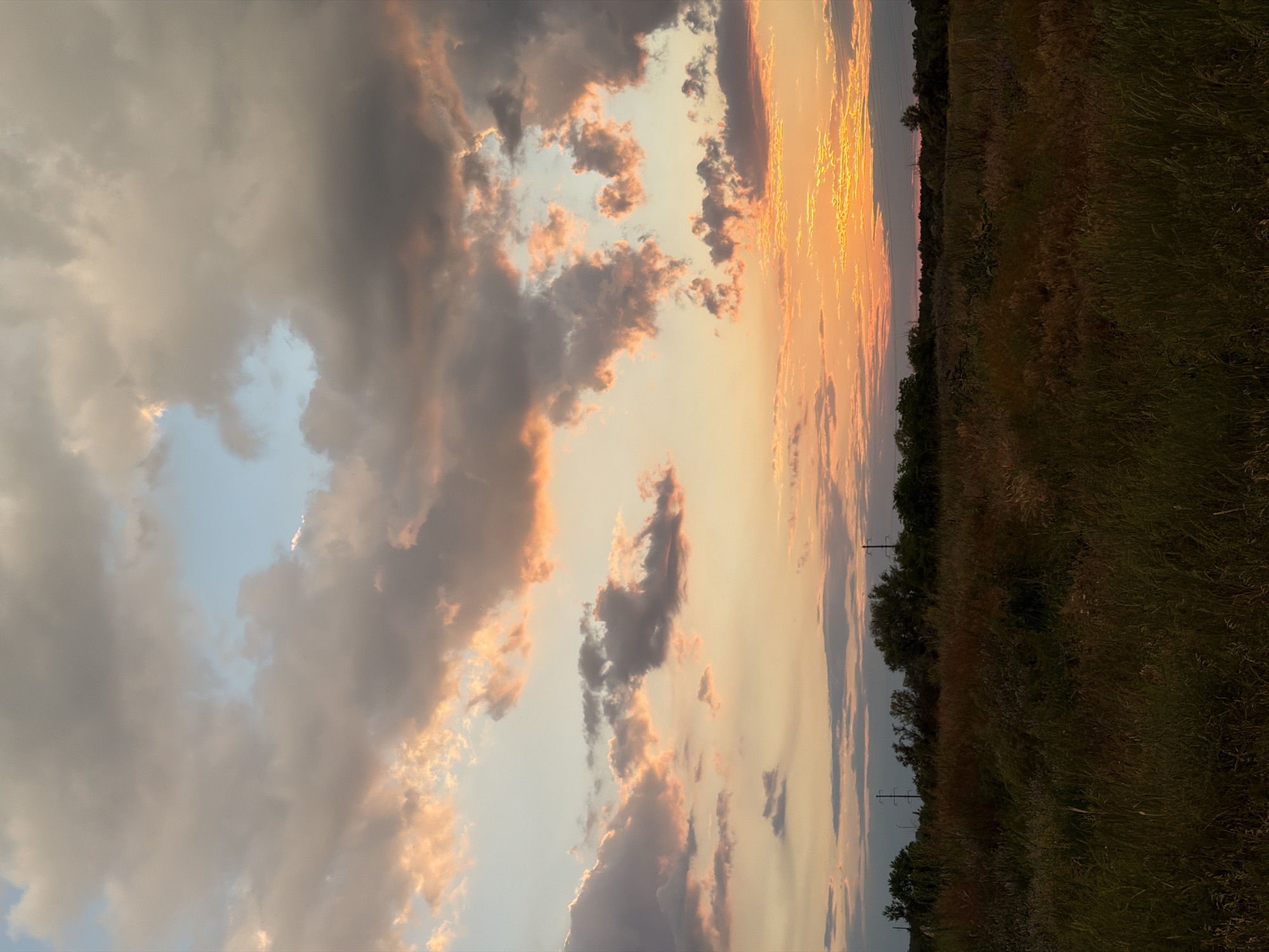 A wide-angle, vertical shot depicts a dramatic sunset over a rural landscape. The sky is filled with an array of clouds, ranging from soft grey to vibrant pink and orange hues where the sun's rays break through. The lower portion of the image features a field of tall, dry grass, with a line of trees and utility poles forming a dark silhouette against the horizon. The overall impression is one of natural beauty and tranquility, with the setting sun casting a warm glow over the scene. The location is Unknown, Unknown.