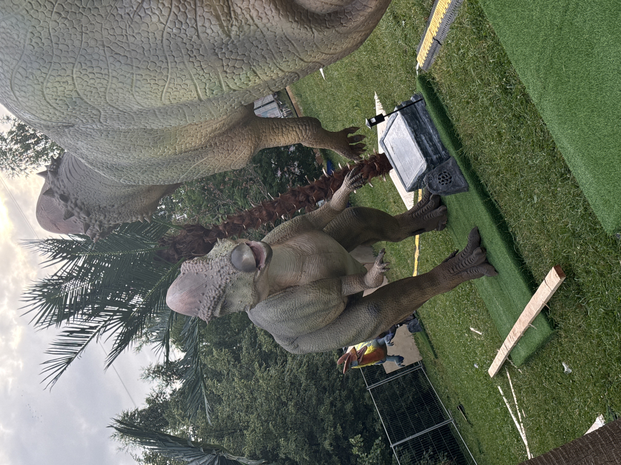 The image depicts an outdoor scene at a dinosaur-themed attraction, possibly a park or exhibition. In the foreground, a large, lifelike dinosaur model stands on a patch of artificial turf. This dinosaur has a greenish-gray skin texture with visible scales and a distinctive bony crest on its head. Its mouth is open, revealing its teeth, and it appears to be in a dynamic pose. To the right and slightly behind it, the rear section of another, even larger dinosaur model is visible, characterized by its rough, textured skin and plated back.
In the background, a smaller, brightly colored dinosaur model, primarily yellow and blue, is seen behind a metal fence. This smaller dinosaur has a more cartoonish appearance. The environment includes lush green grass, palm trees, and other foliage, suggesting a warm climate or a carefully curated outdoor space. The sky is overcast with clouds, and there appears to be some construction or setup material, such as wooden planks and yellow hazard tape, scattered on the ground.
While the image is detailed and shows a specific scene, there is no information within the image itself or the provided crops to indicate it is located in Moscow, Russia. Therefore, this location information cannot be included in the description.