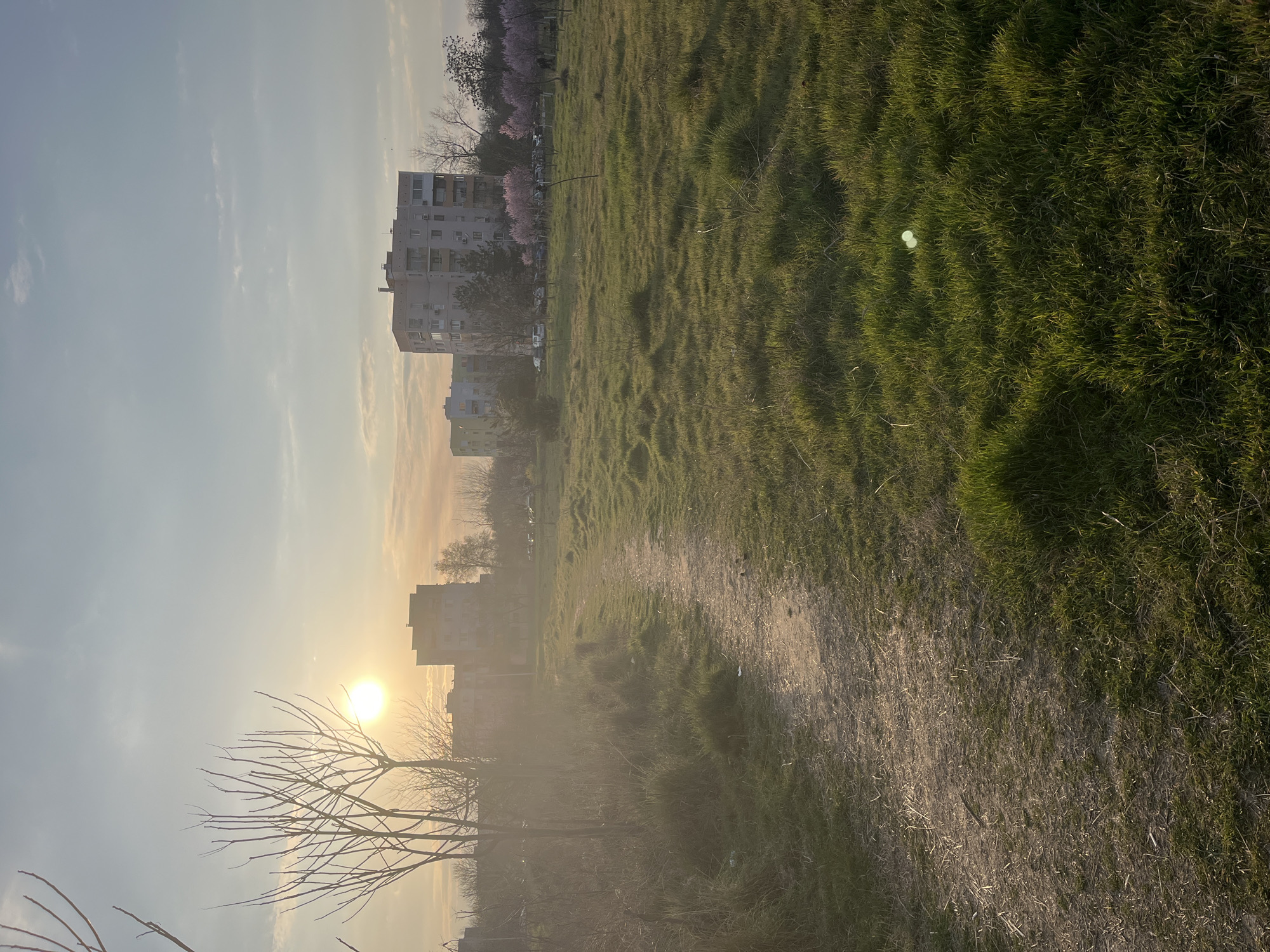 The scene depicts an open green space adjacent to a residential area in Plovdiv, Bulgaria, observed during either sunrise or sunset. A narrow, unpaved dirt path traverses the foreground, extending diagonally from the lower-left corner towards the mid-center of the image. This path is bordered by uneven green grass interspersed with areas of taller, dry vegetation. On the left side of the midground, several deciduous trees with bare branches are silhouetted against the low-lying, intensely bright sun, which is positioned in the upper-left quadrant and causes a prominent lens flare in the lower-right grassy area. Further into the midground, on the right, a line of trees displaying pink blossoms is visible, behind which a dirt lot contains several parked vehicles. A single human figure is faintly discernible near these blooming trees on the right. The background is dominated by multiple multi-story, light-colored apartment buildings. The sky above is partially cloudy, transitioning in color from a warm, orange-yellow near the horizon to a lighter blue higher up.