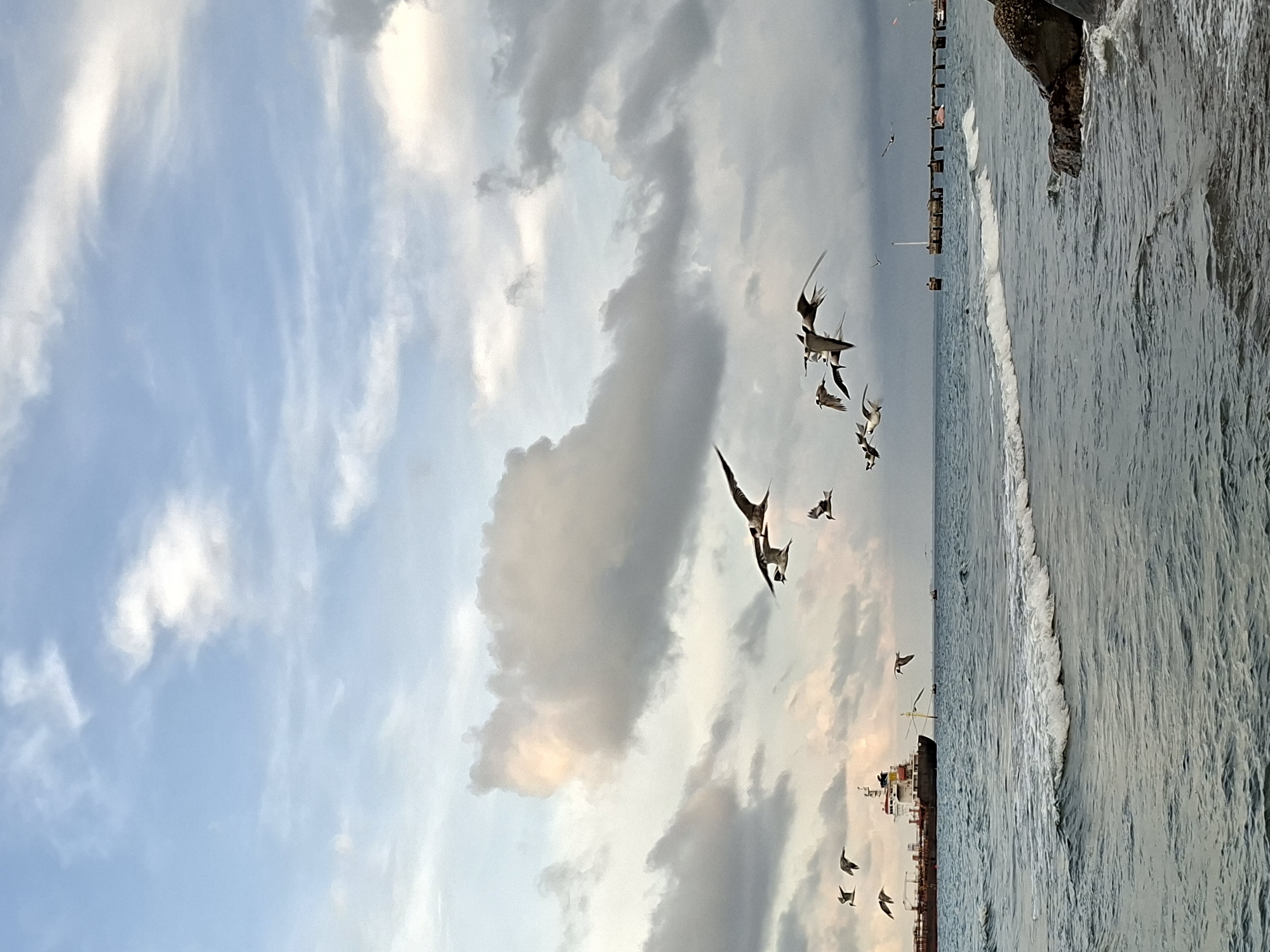 The image depicts a coastal scene in Lhokseumawe, Indonesia. In the foreground, a body of water with visible waves meets a coastline. A flock of birds is flying in the sky near the water. A large cargo ship is partially visible on the water. The sky is filled with clouds, and the horizon is visible in the distance. A section of a pier extends into the water. The image appears to be a photograph taken during daylight hours.
